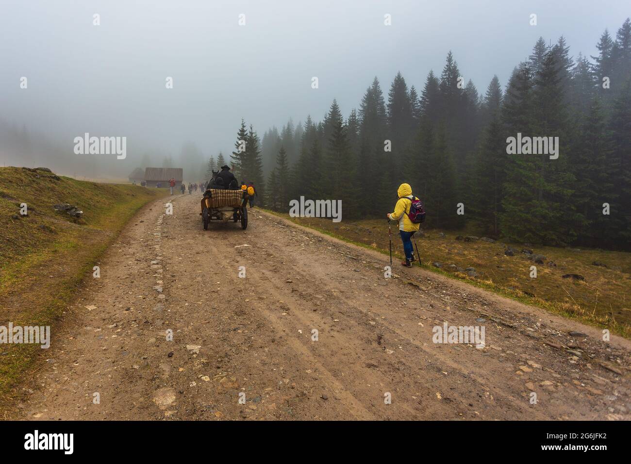 Chocholowska-Tal, Tatra-Gebirge, Polen - 09. April 2016: Menschen, die an einem nebligen Frühlingstag im Chocholowska-Tal spazieren. Eine Lichtung mit shepher Stockfoto