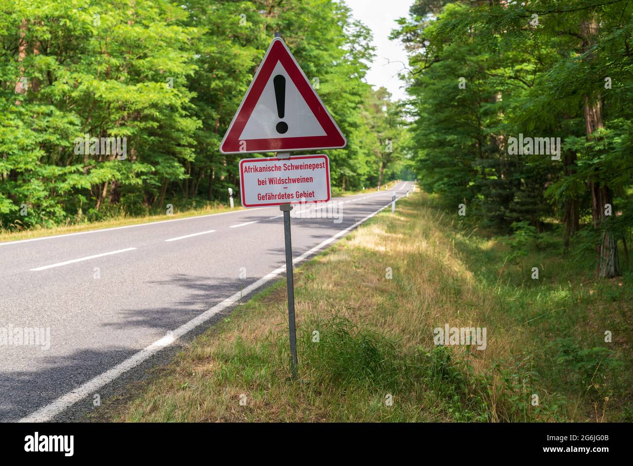 Ein Warnschild am Straßenrand mit dem zusätzlichen Schild mit der deutschen Aufschrift , Afrikanische Schweinepest in Wildschweinen - gefährdetes Gebiet. Stockfoto