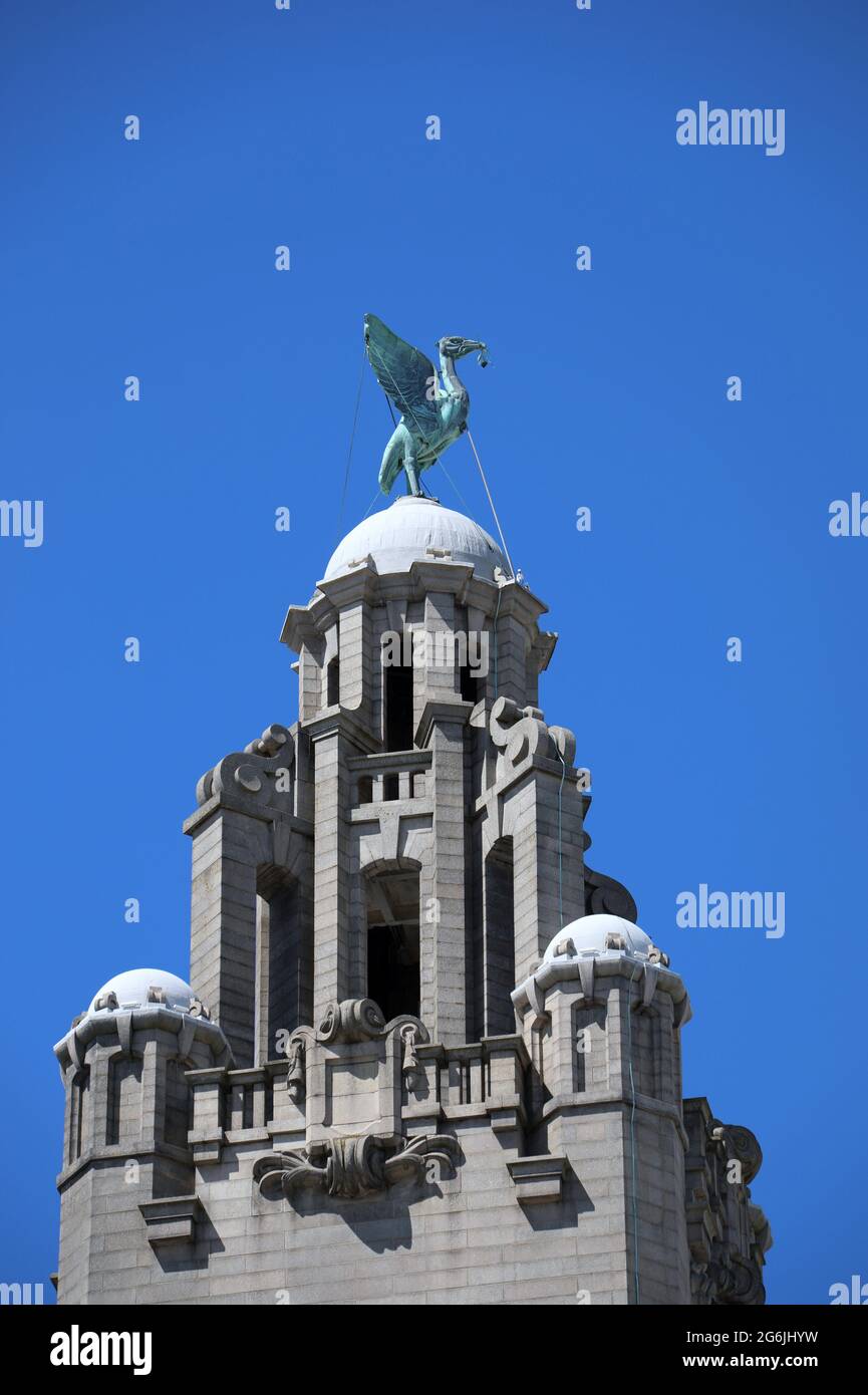 Das Royal Liver Building in Liverpool Stockfoto