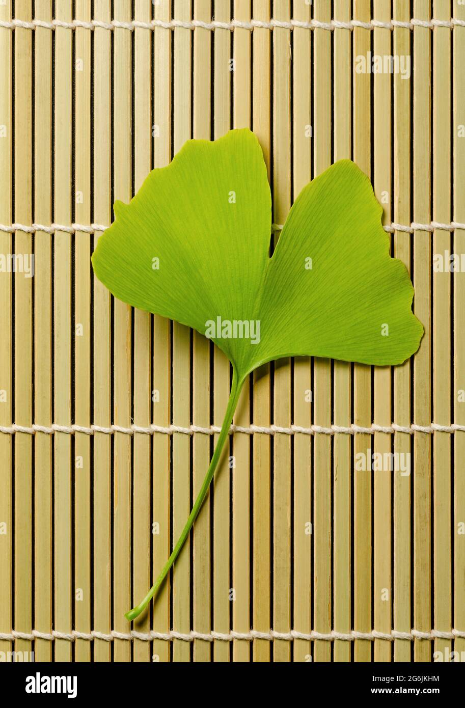 Einzelnes Ginkgo-Blatt auf einer Bambusmatte. Ginkgo biloba, auch bekannt als Gingko- oder Maidenhair-Baum, offizieller Baum der japanischen Hauptstadt Tokio. Stockfoto
