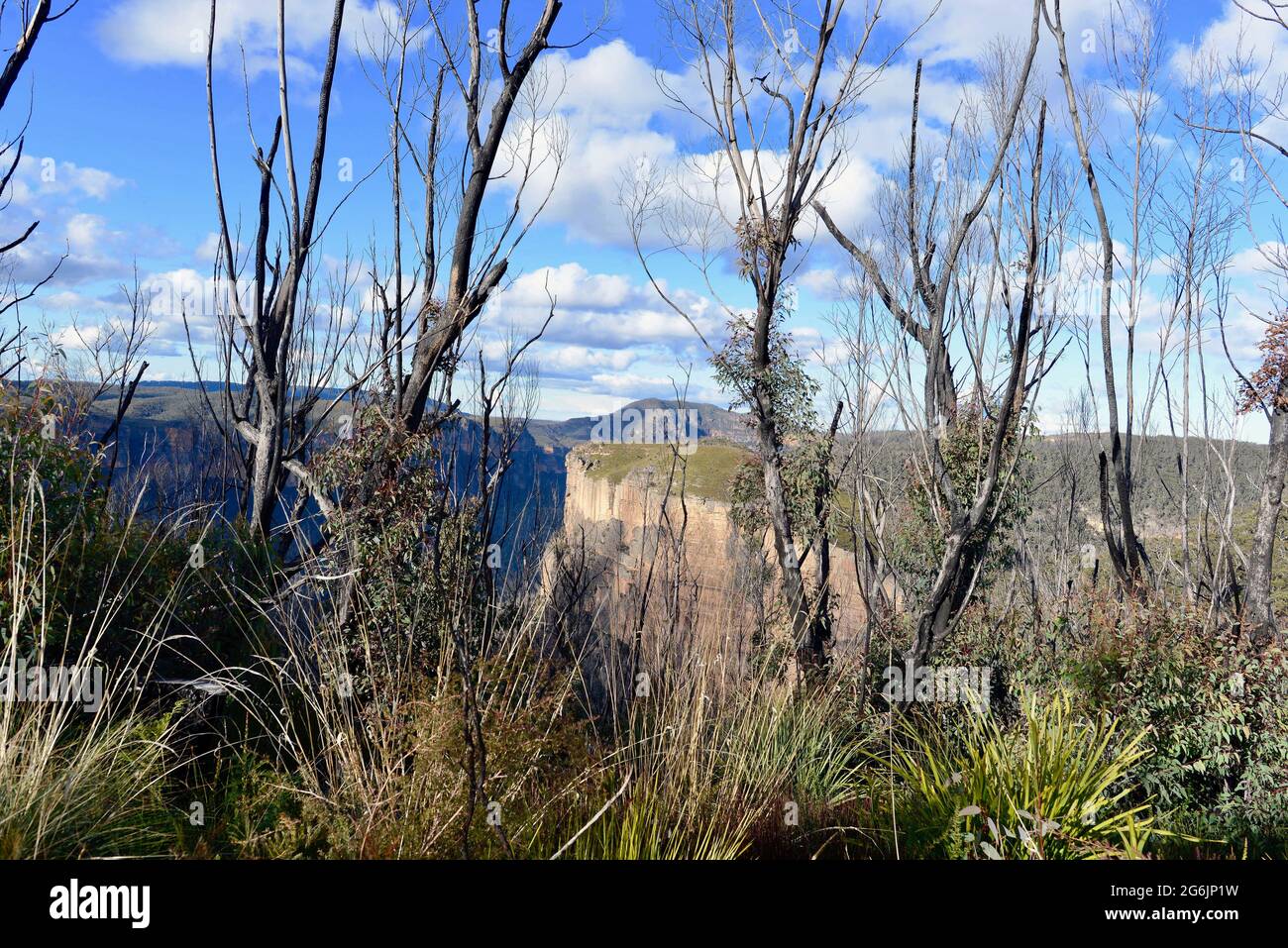 Ein Blick auf die Landschaft beim Hanging Rock Walk in den Blue Mountains Stockfoto