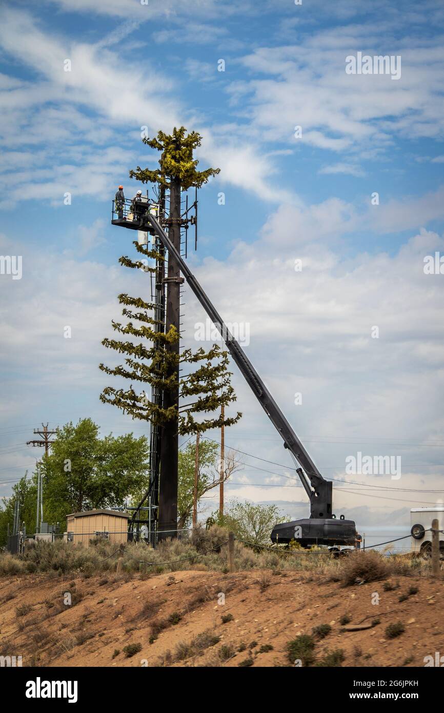 Handy-Handy-Turm verkleidet als Kiefer, der von Arbeitern auf einem Kran gebaut wird. Stockfoto