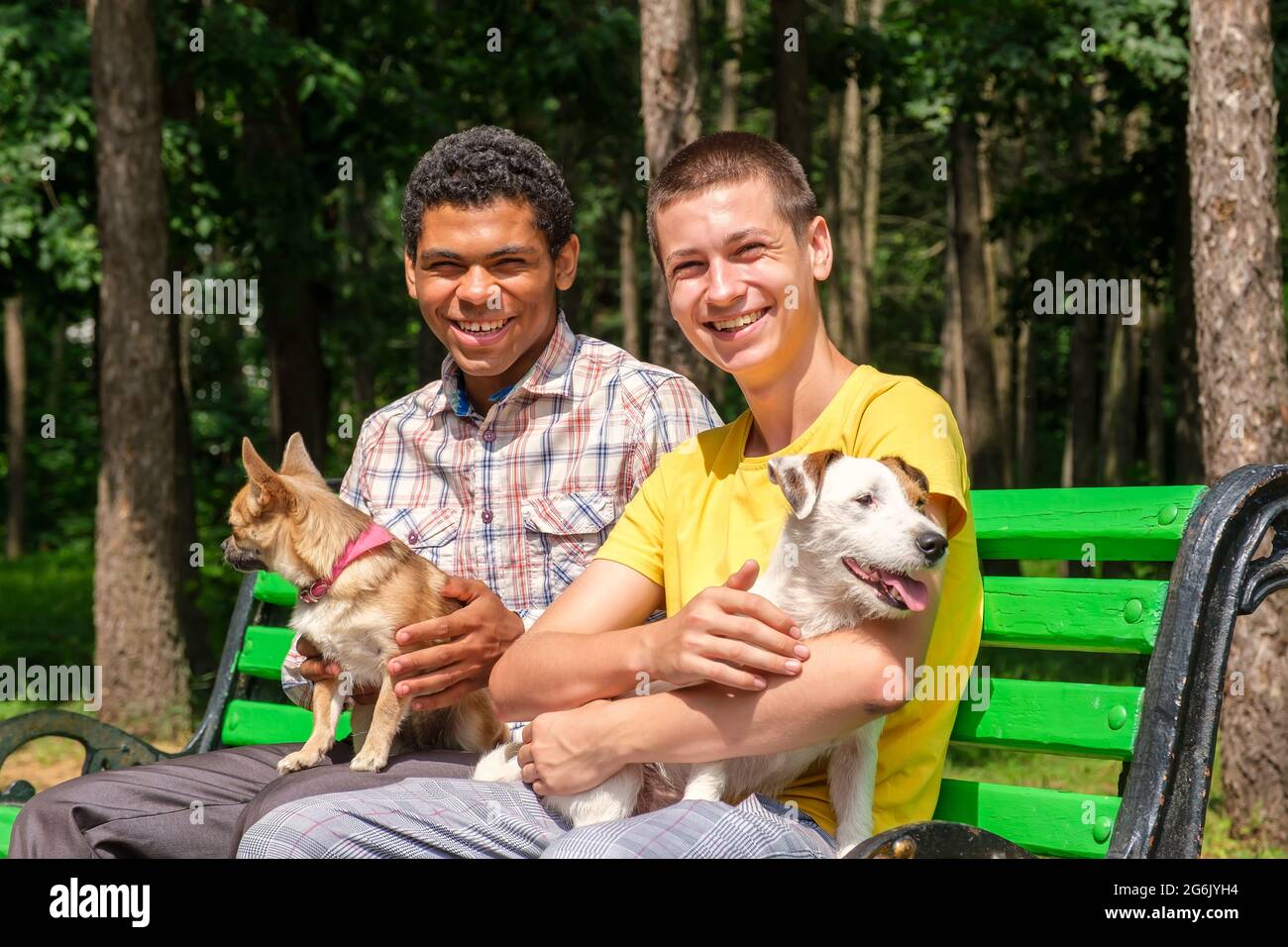 Zwei lächelnde Freunde mit Hunden entspannten sich im Sommer auf der Bank im Park Stockfoto