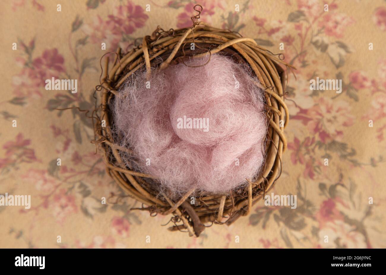 Digitaler Neugeborener Hintergrund auf einer Blumenoberfläche Stockfoto