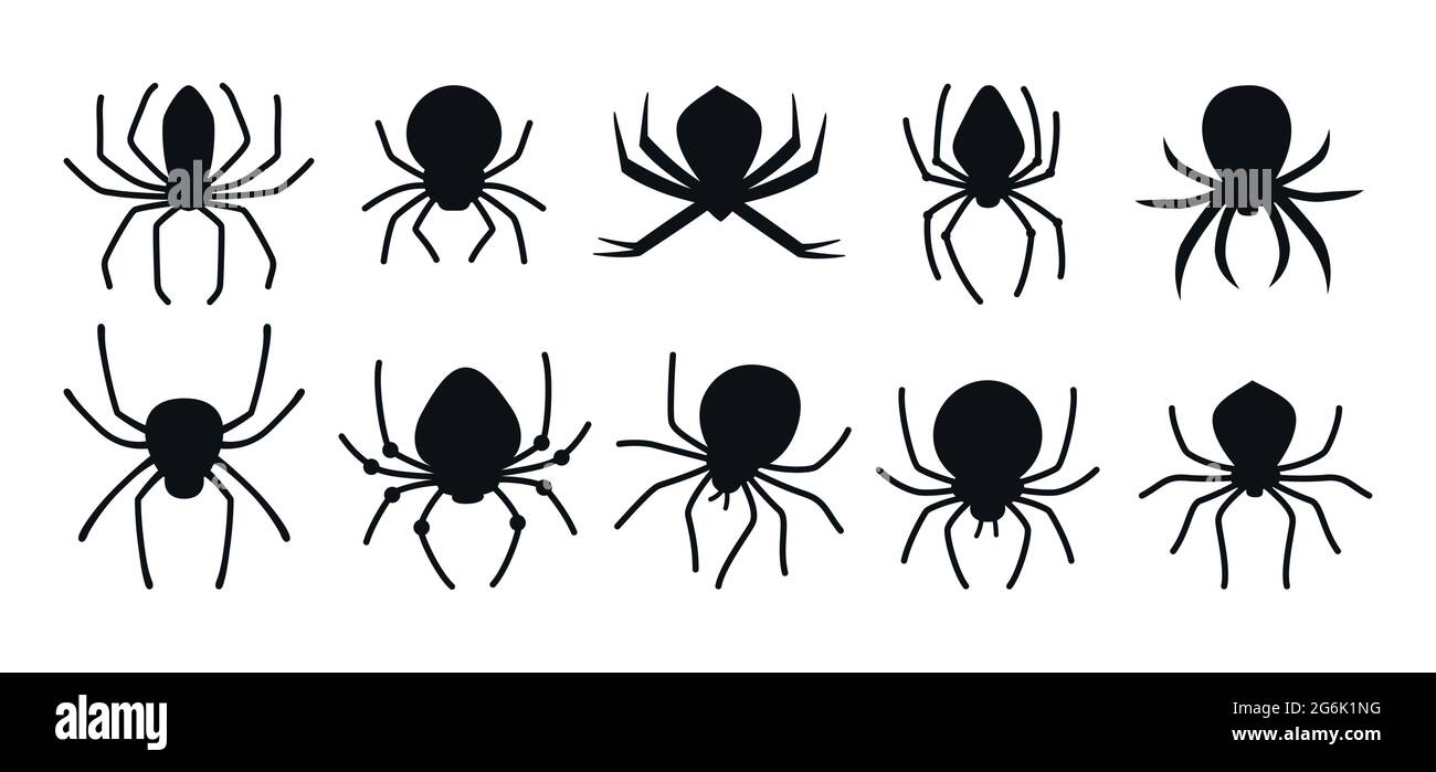 Spider Halloween schwarze Silhouette Set. Gruselige gruselige Spinnen  gefährliche Tarantula flache Sammlung. Gruselige Deko für Horror-Design.  Party Halloween giftige Spinne oder gefährliche Arachnid. Vektor  Stock-Vektorgrafik - Alamy