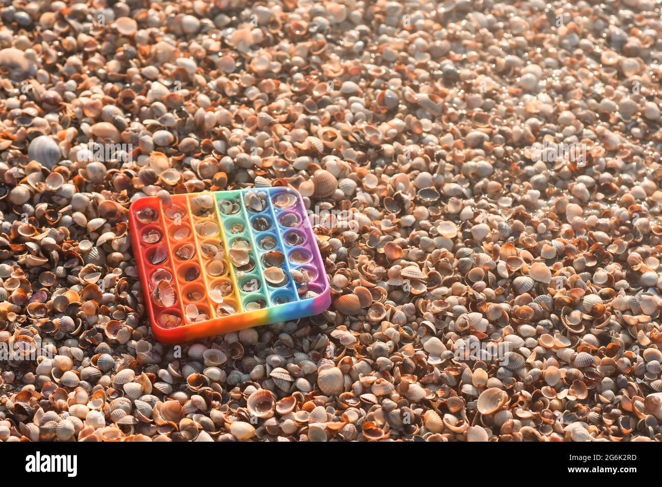 Muscheln mit einem Anti-Stress-Spielzeug. Rainbow Pop it Spielzeug auf Muscheln. Stockfoto