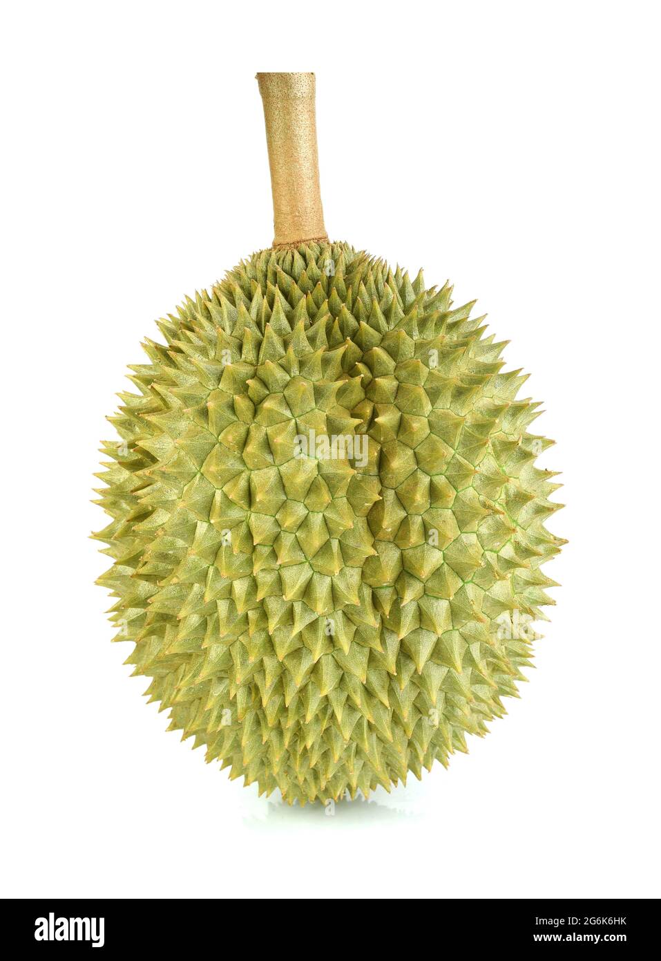 Durian, monthong Durian isoliert auf weißem Hintergrund Stockfoto