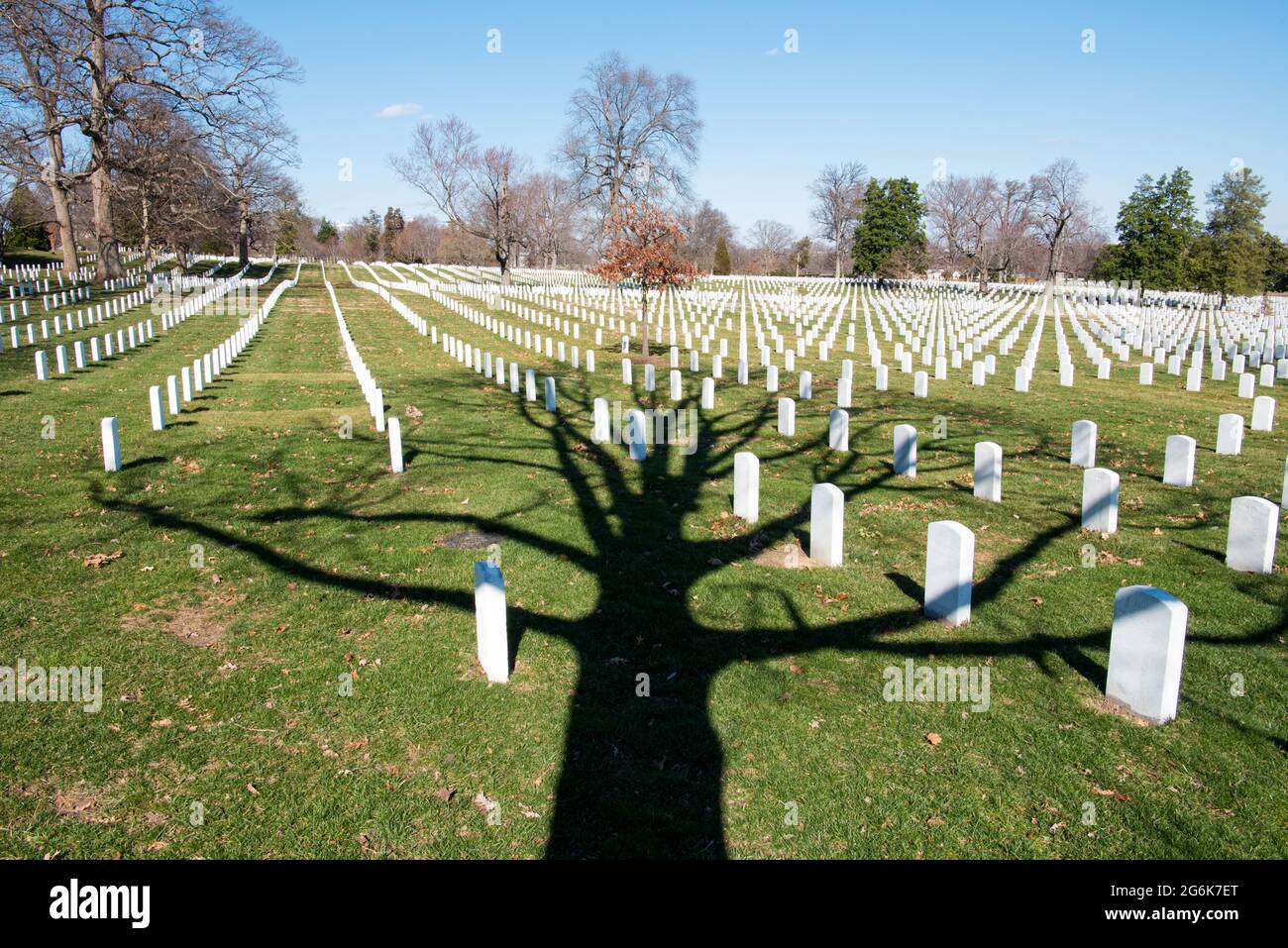 Arlington National Cemetery, Washington DC Graves Stockfoto
