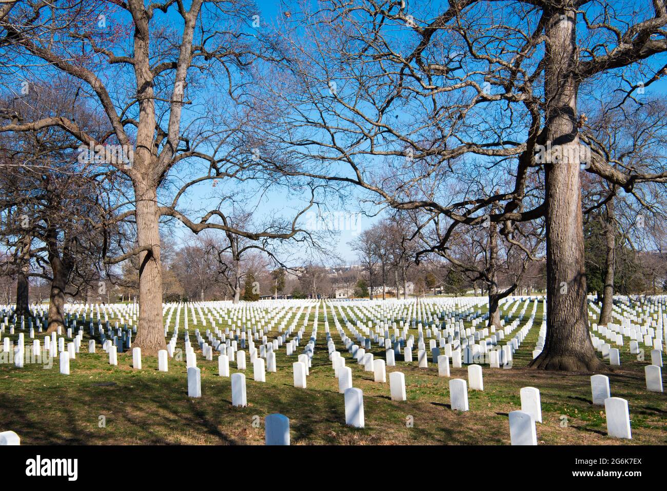 Arlington National Cemetery, Washington DC Graves Stockfoto