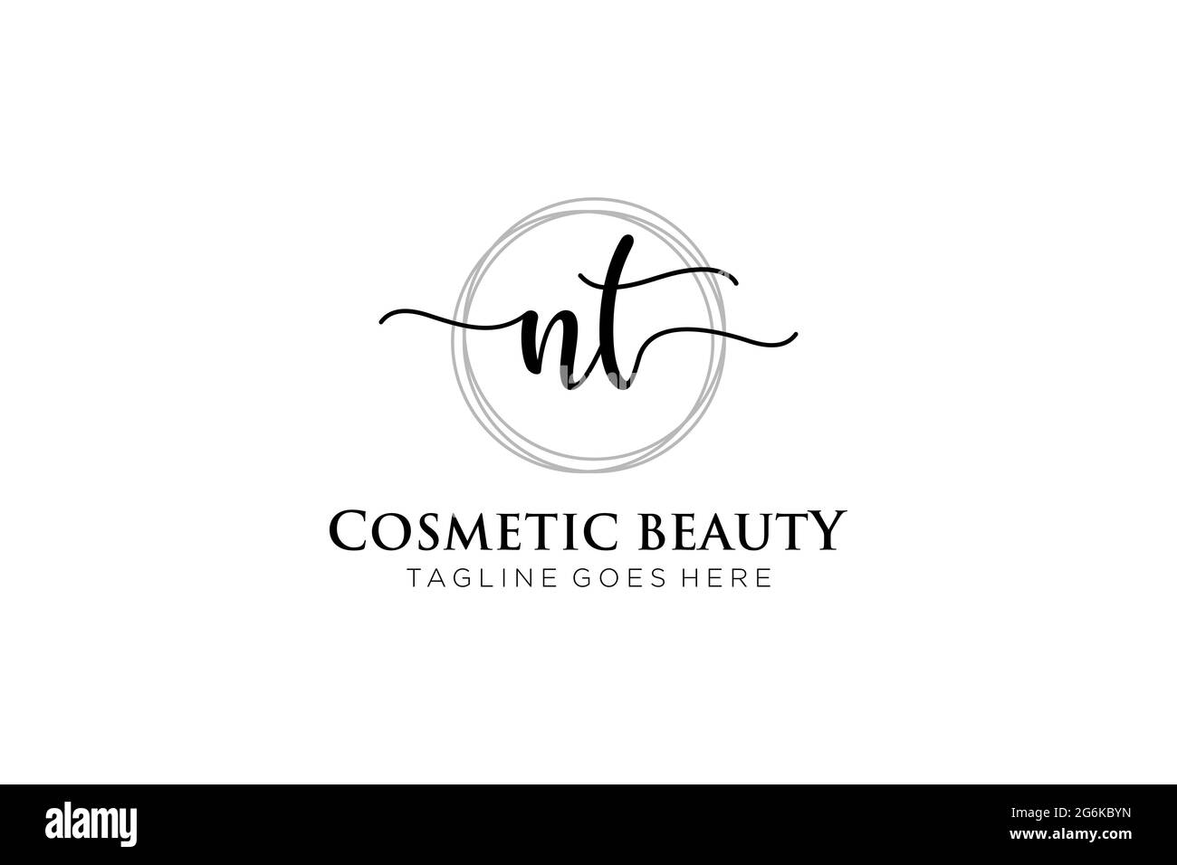 NT feminine Logo Schönheit Monogramm und elegantes Logo-Design, Handschrift Logo der ursprünglichen Signatur, Hochzeit, Mode, Blumen und botanischen mit kreativen Stock Vektor
