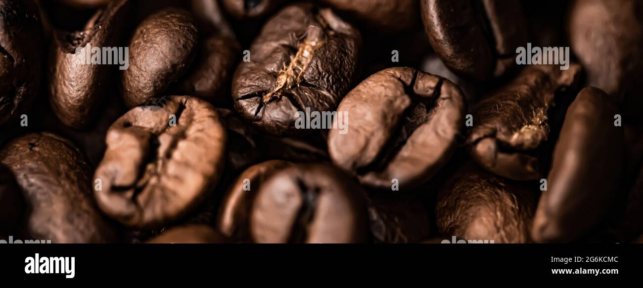 Kaffeebohnen Hintergrund, geröstete Signature Bohne mit reichhaltigem Geschmack, bester Morgengetränk und luxuriöser Mischung Stockfoto