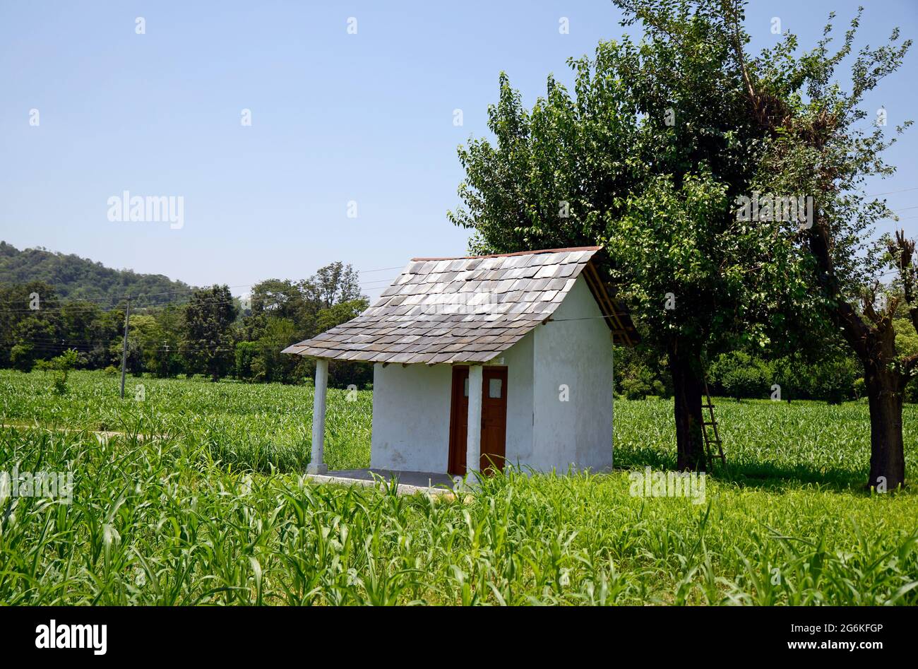 Schlammhütte im Landwirtschaftsfeld Stockfoto
