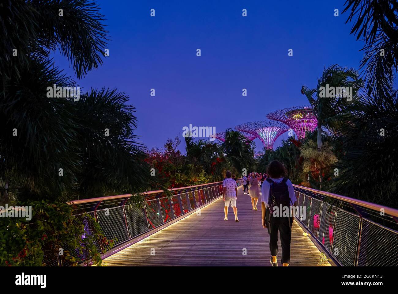 Touristen, die über die Brücke von der „The Garden by the Bay“ nach Supertrees laufen, um in Gardens by the Bay, Singapur, eine abendliche Licht- und Musikshow zu besuchen. Unterbelichtet, bei schlechten Lichtverhältnissen Stockfoto