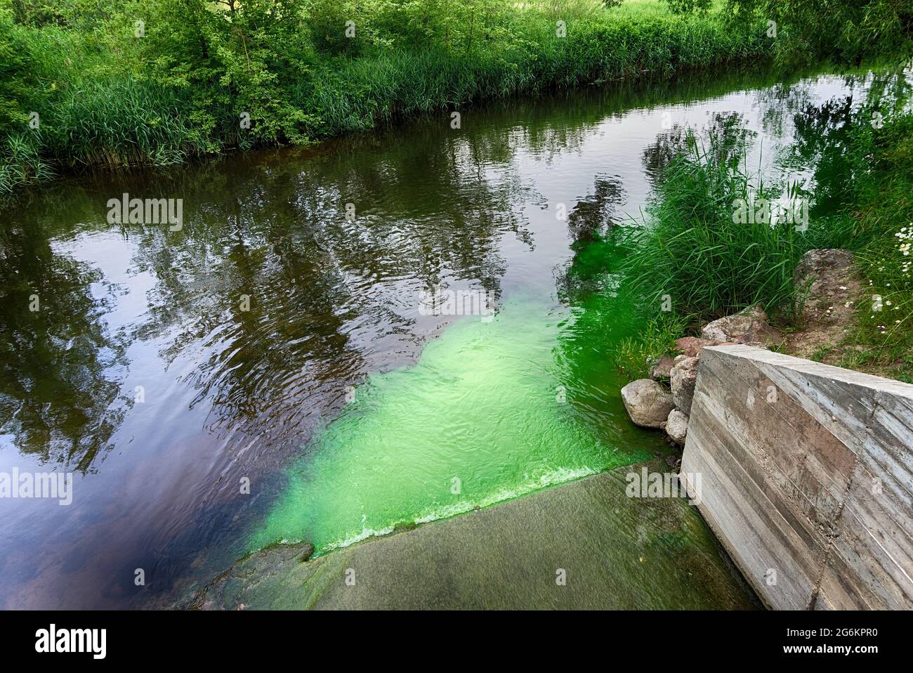 Hellgrün verschmutzte Abwässer, die über einen Betonüberlauf in einen unberührten Wasserweg fließen und eine Wolke der Umweltverschmutzung in einem ökologischen und ökologischen Bereich bilden Stockfoto
