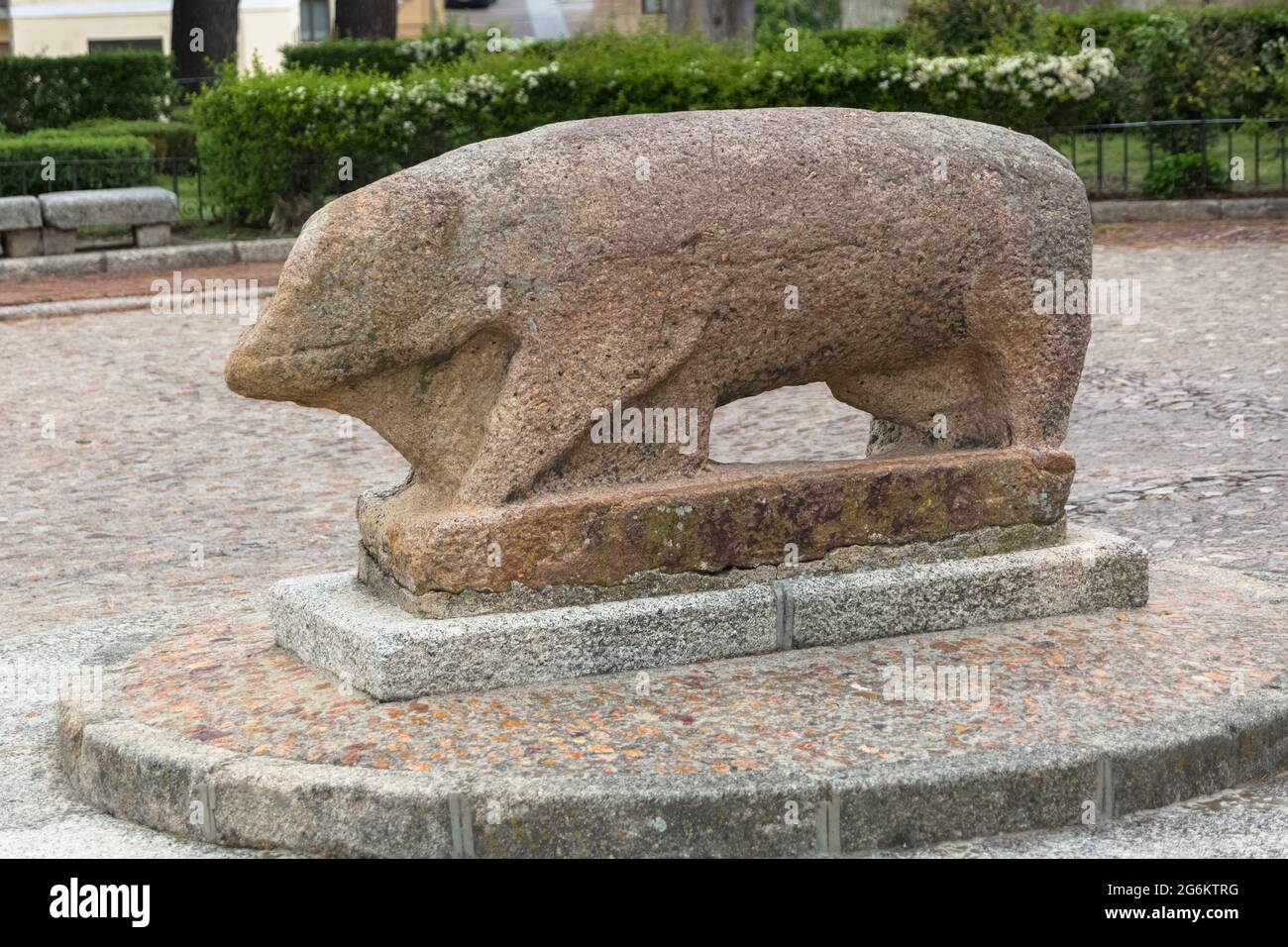 Cuidad Rodrigo / Spanien - 05 12 2021: Blick auf die megalithische Granitskulptur eines Schweins der Vettones, in der Innenstadt der Festung Cuidad Rodrigo Stockfoto