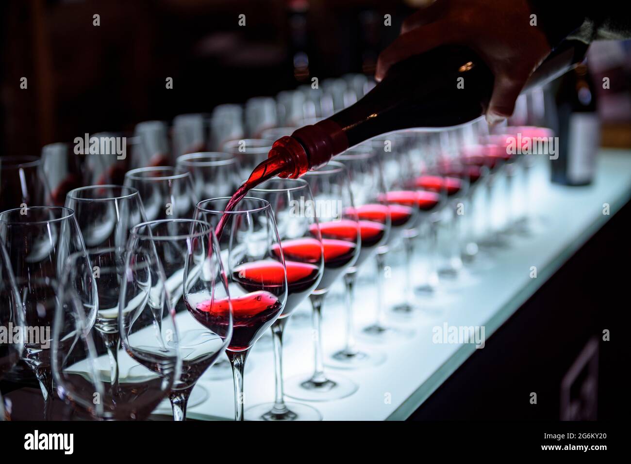 Glasreihe bei einer Weinprobe im Weingut Oller del Mas (Bages, Barcelona, Katalonien, Spanien) ESP: Hilera de copas en una cata de vinos del Bages Stockfoto