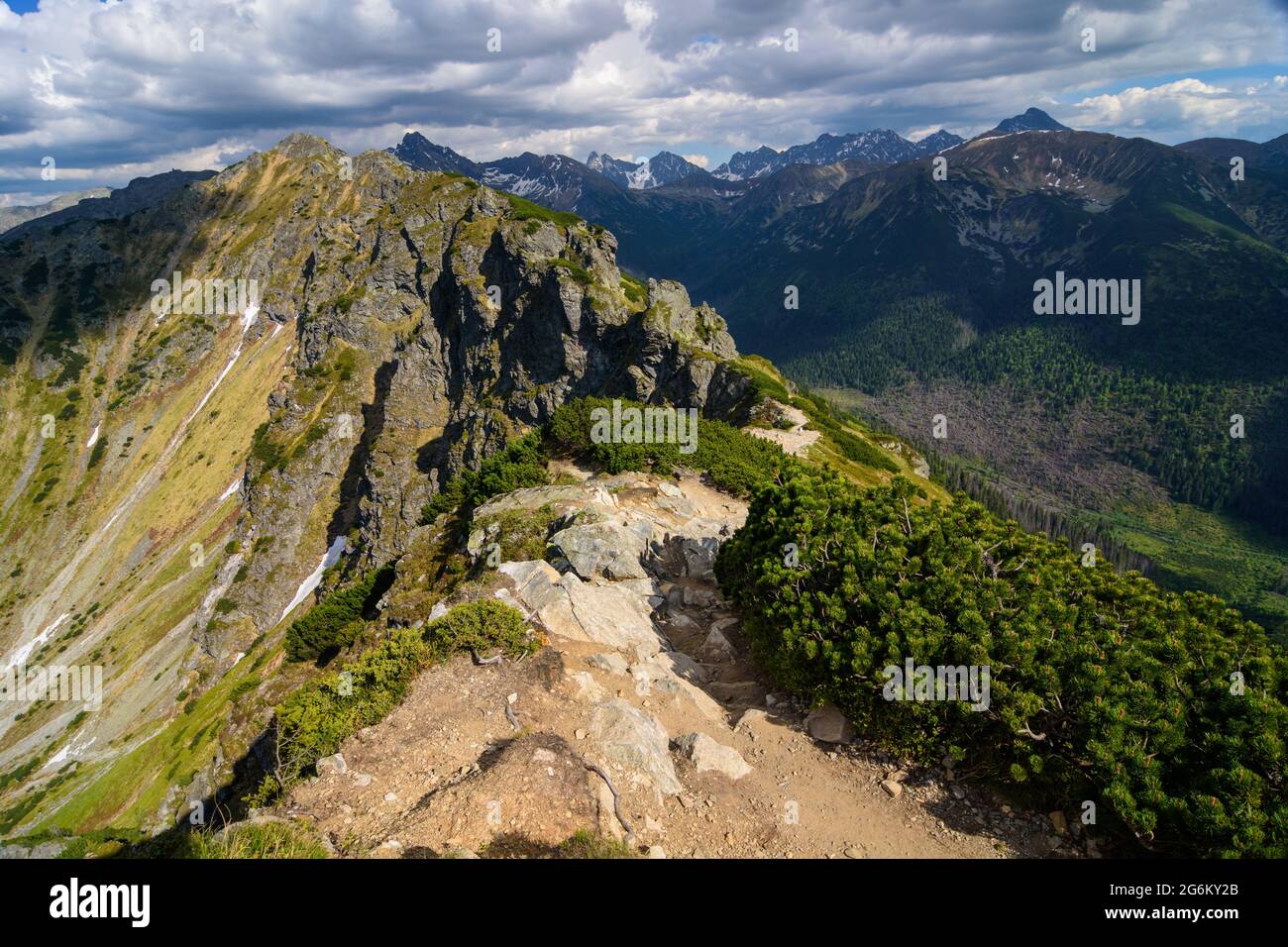 TTatra-Nationalpark im Sommer. Westliche Tatra. Der Gipfel von Suchy Czuba. Blick auf die Gipfel von Goryczkowe. Die hohe Tatra in der Ferne. Stockfoto