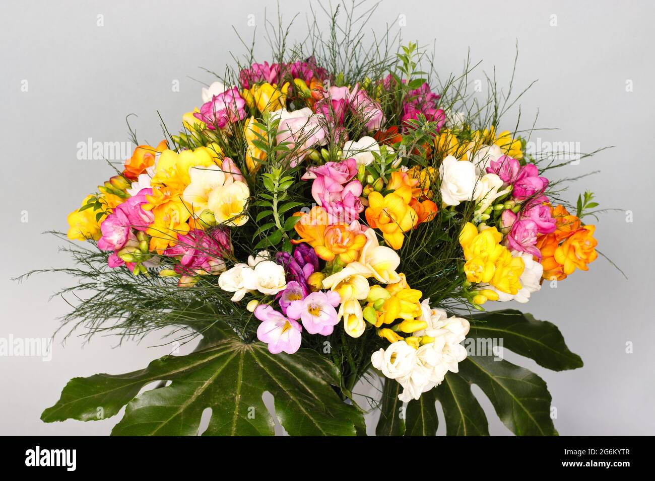 Schönes Bouquet von geschnittenen Freesias. Stockfoto