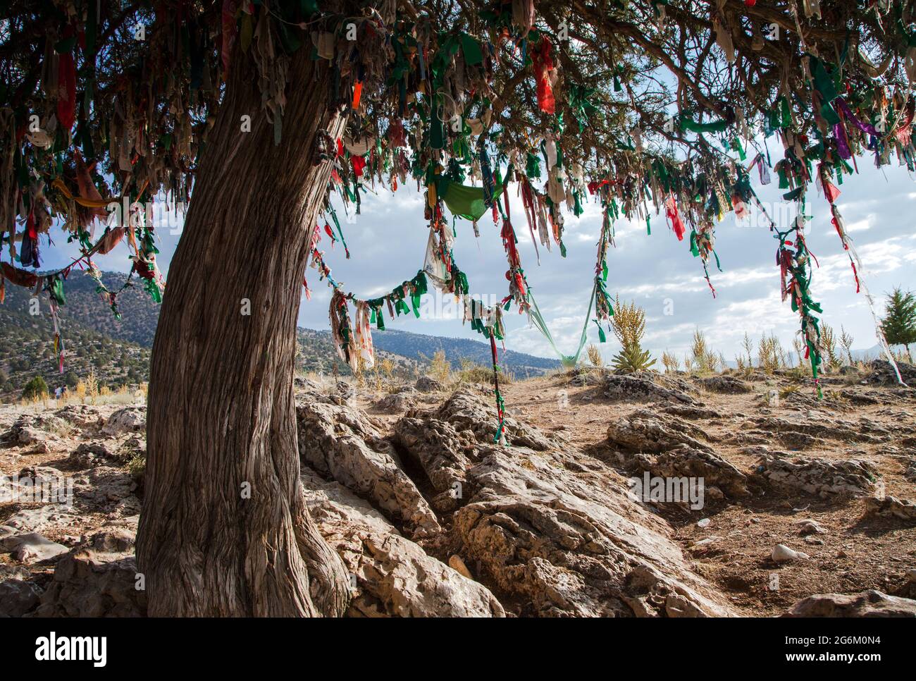 Ein vielfarbiger traditioneller Wunschbaum im Dorf Tekke Stockfoto
