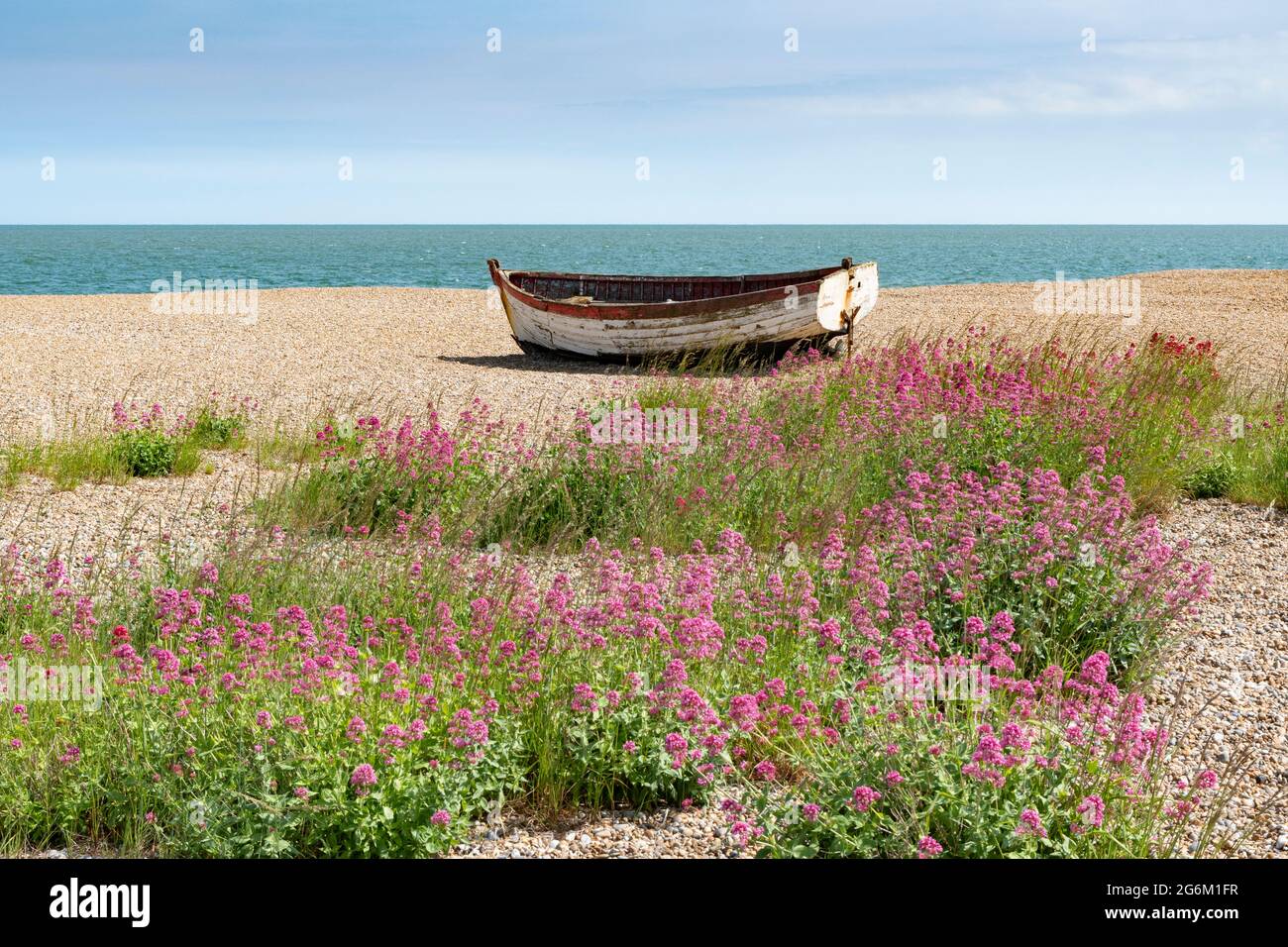 Angeln Ruderboote auf Aldeburgh Strand Suffolk mit roten Baldrian Blumen im Vordergrund . Stockfoto