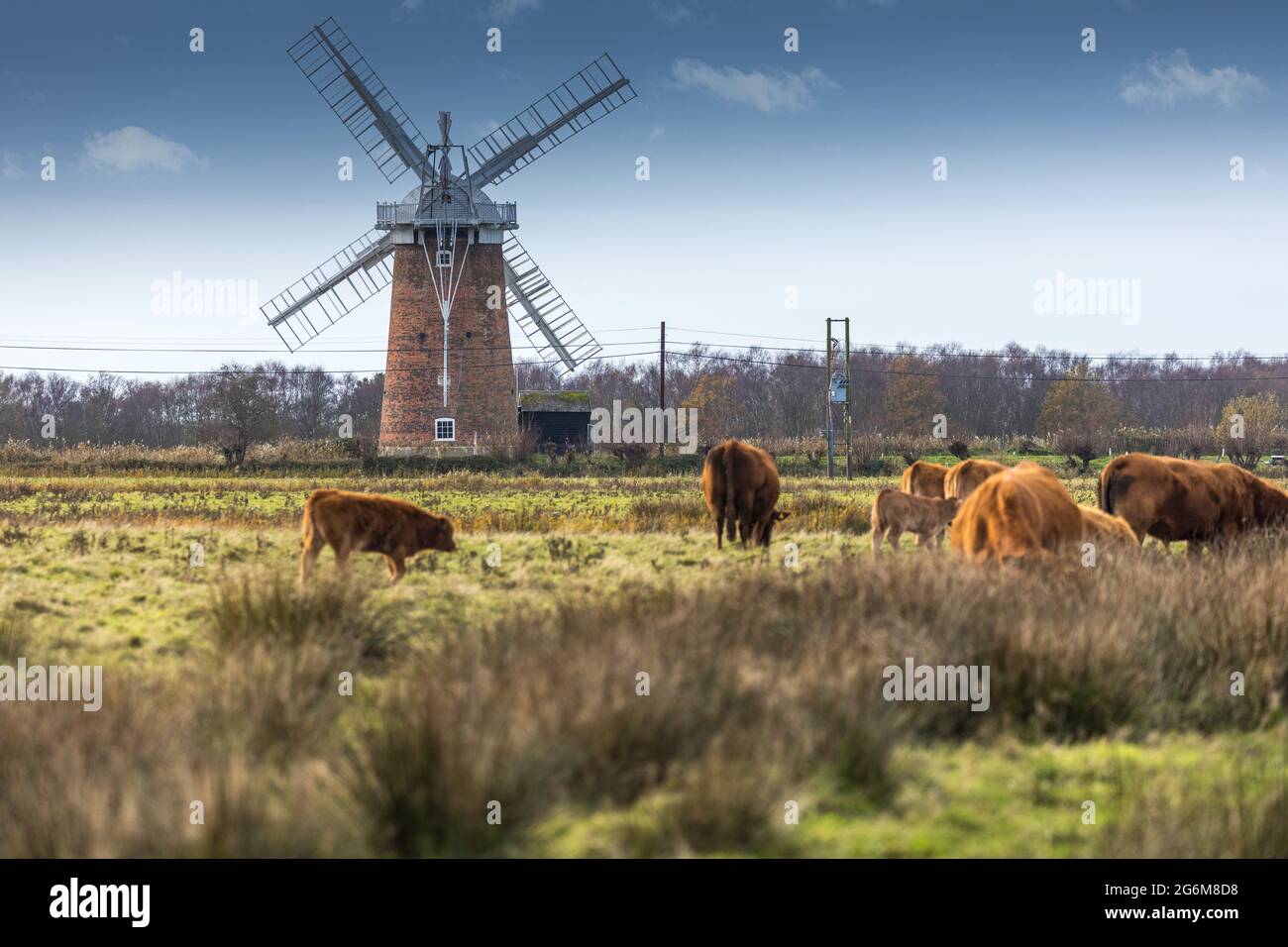 Horsey Windpump eine Windpumpe oder Drainage-Windmühle, die vom National Trust in Horsey, auf den Broads in der Nähe von Great Yarmouth, Norfolk, England, betreut wird Stockfoto