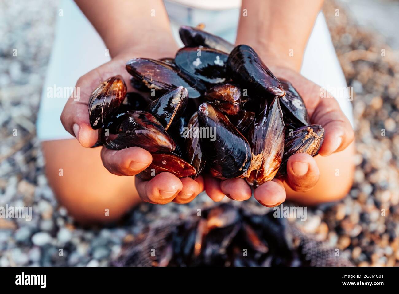 Frischer Fang von Muscheln am Strand in den Händen von Fischerfrauen aus der Nähe. Stockfoto