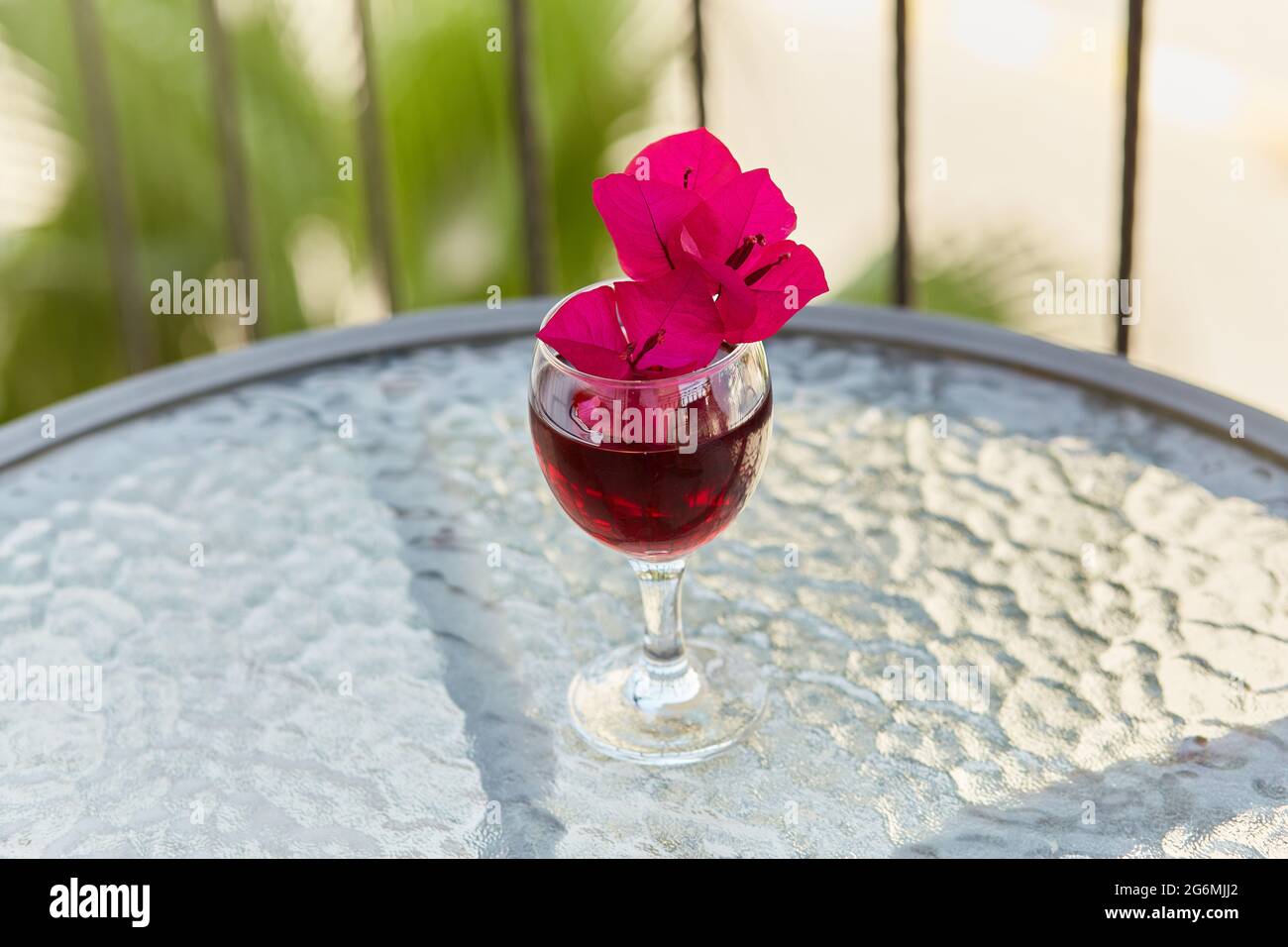 Elegantes und farbenfrohes Glas Rotwein. Dekorative minimalistische rosa Blüten von Bougainvillea in einem Glas. Festliches Weihnachtskonzept Stockfoto