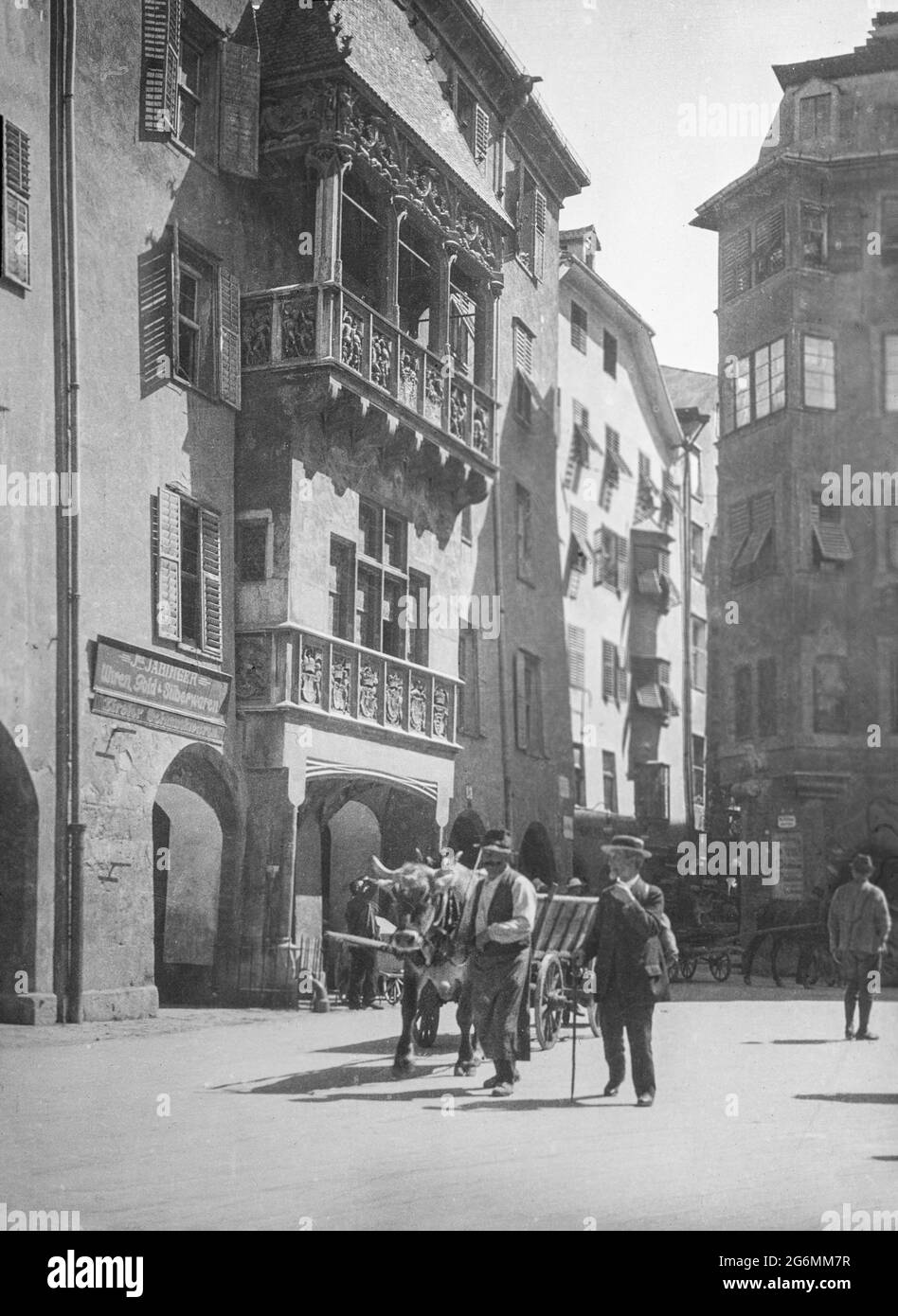 Ein Schwarzweißfoto aus dem frühen 20. Jahrhundert, aufgenommen in der Altstadt von Innsbruck, Österreich, zeigt das berühmte Goldene Dachl. Auf der Straße hat ein Mann einen Wagen, der von einer Kuh oder einem Stier gezogen wird. Stockfoto