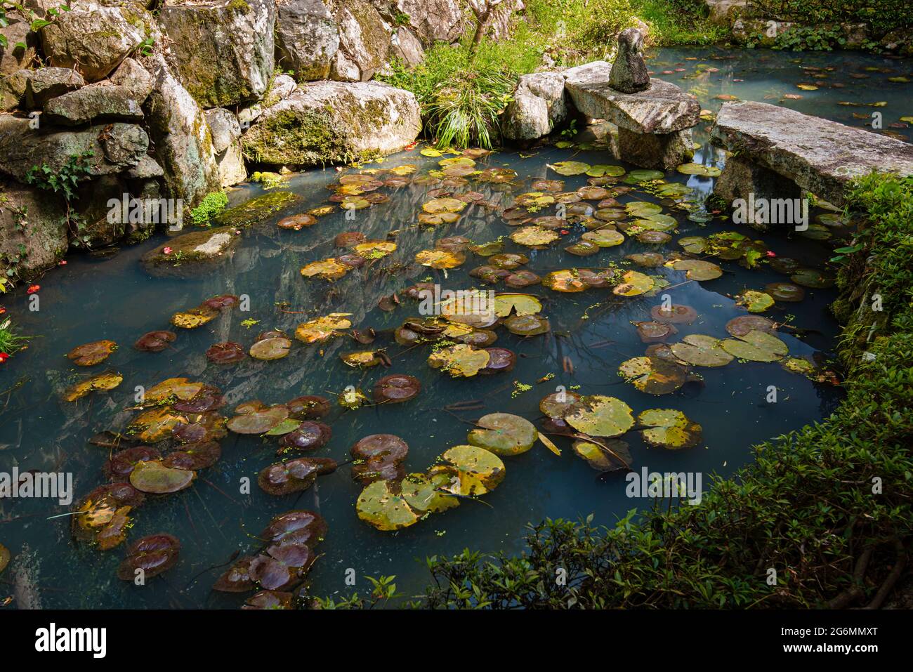 Teich des japanischen Zen und Steingarten. Takahashi, Raikyuji-Tempel, Garten, Präfektur Okayama . Stockfoto