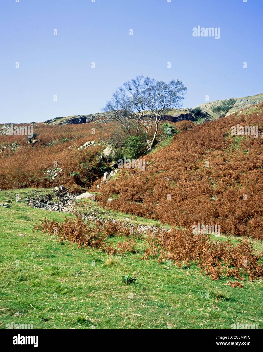 Ein kleiner Bach, der unter dem Old man of Coniston und Dow Crag Coniston im Lake District Cumbria England fließt Stockfoto