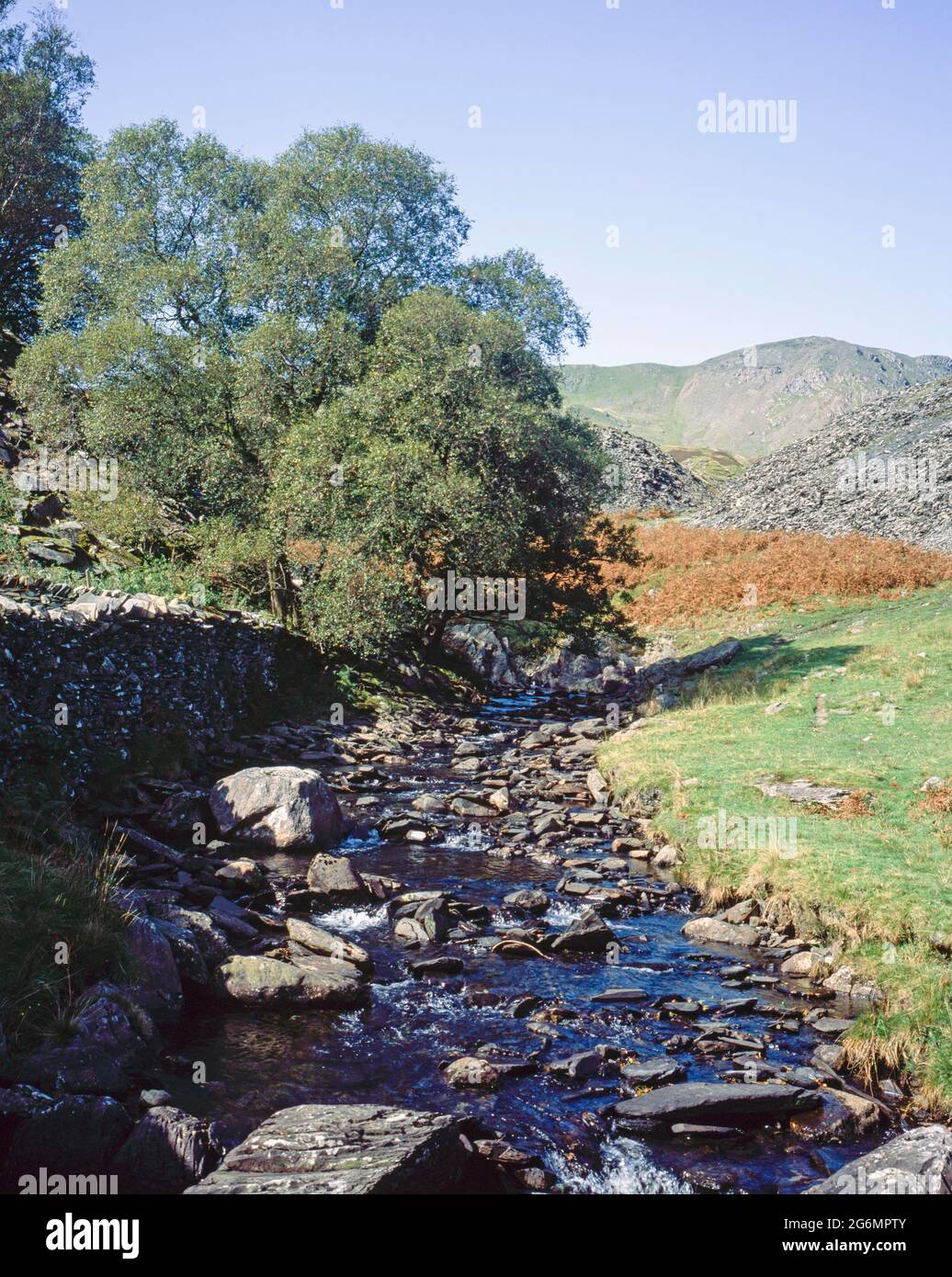 Torver Beck in der Nähe von Torver High Common Coniston, Lake District Cumbria England Stockfoto