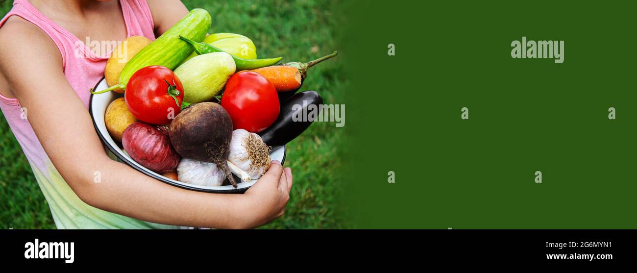 Das Kind hält viel Gemüse aus dem Garten in den Händen