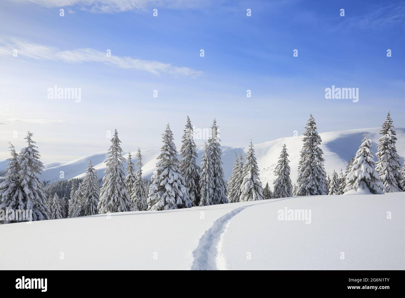 Majestätische Landschaft im kalten Wintermorgen. Der breite Weg. Weihnachtswald. Hintergrund des Hintergrundbilds. Lage Ort der Karpaten, Ukrain Stockfoto
