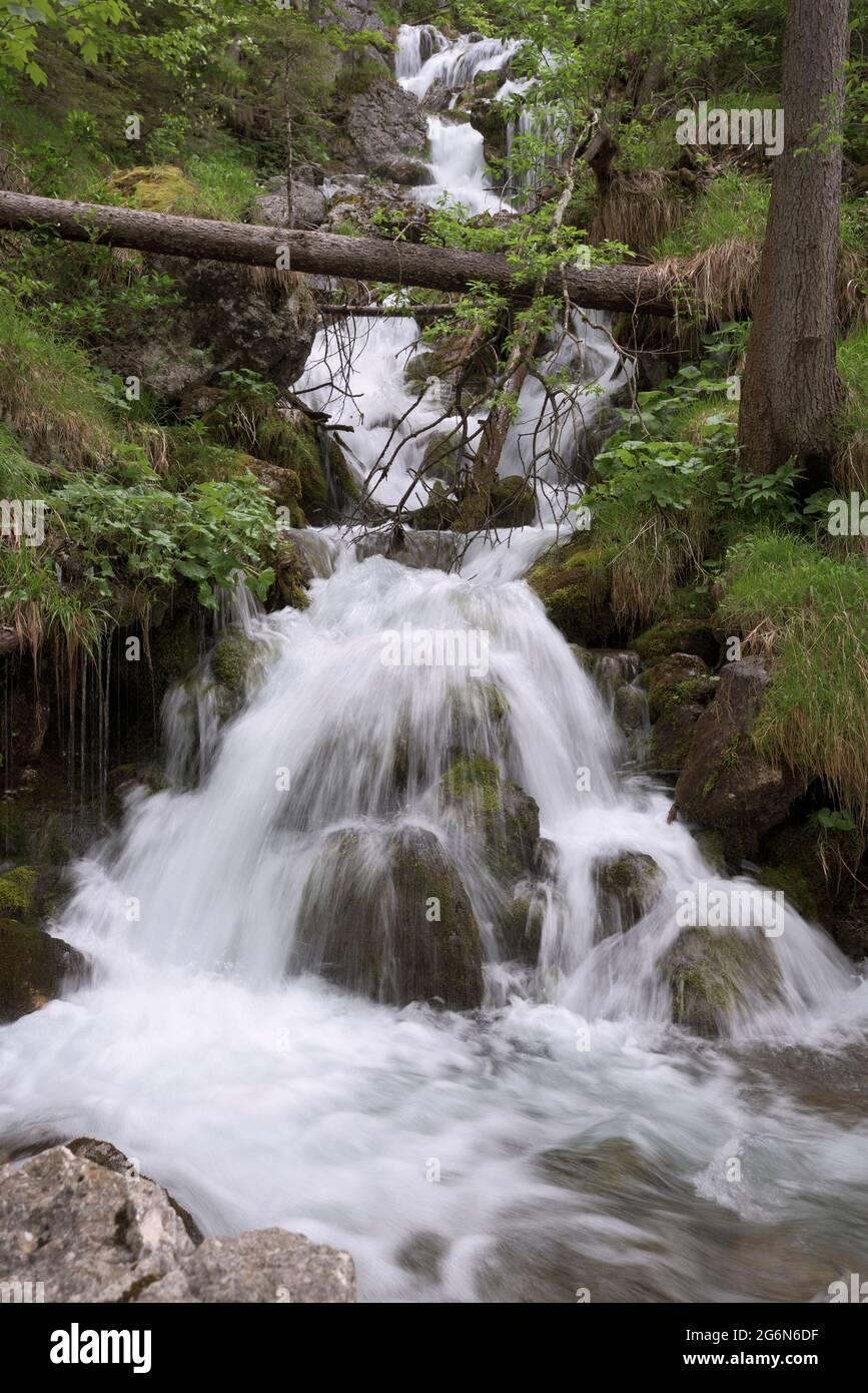 Bergbach, der mit kleinen, kaskadierenden Wasserfällen über Felsen hinunterfließt, Berchtesgaden, Bayern, Deutschland Stockfoto