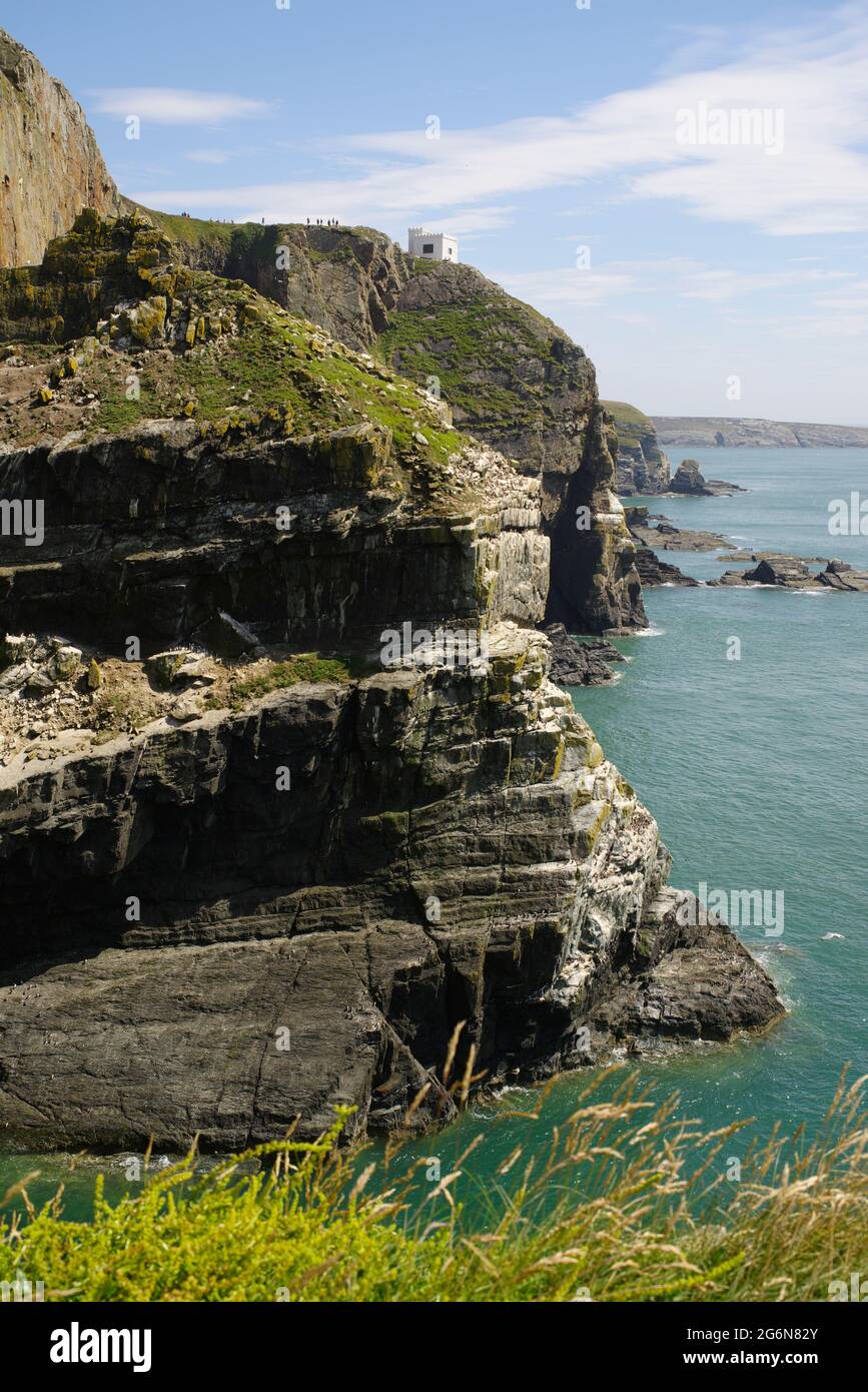 South Stack Cliffs, Holyhead, Nordwales, Stockfoto