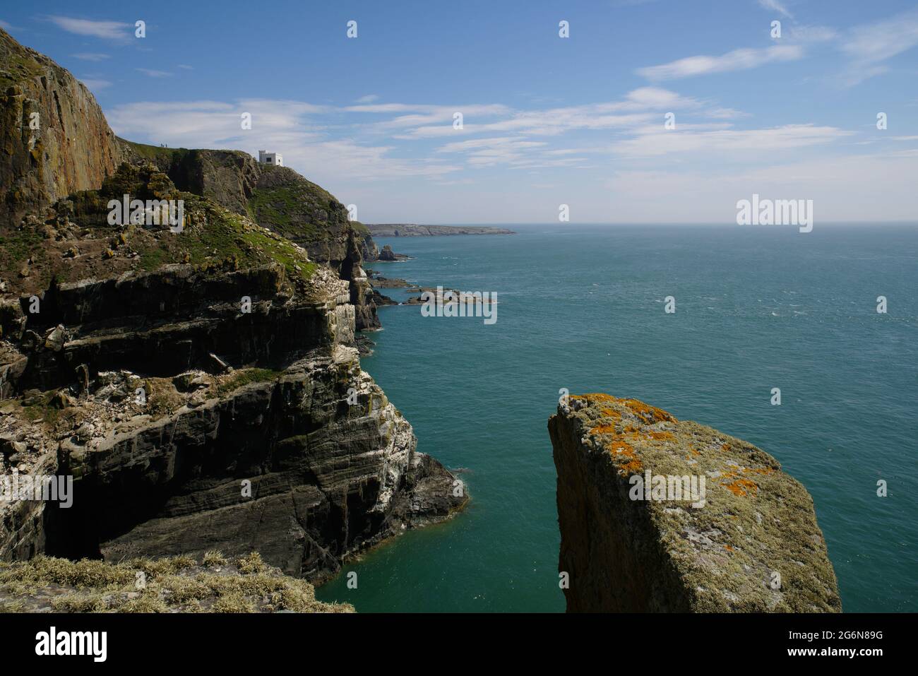 South Stack Cliffs, Holyhead, Nordwales, Stockfoto