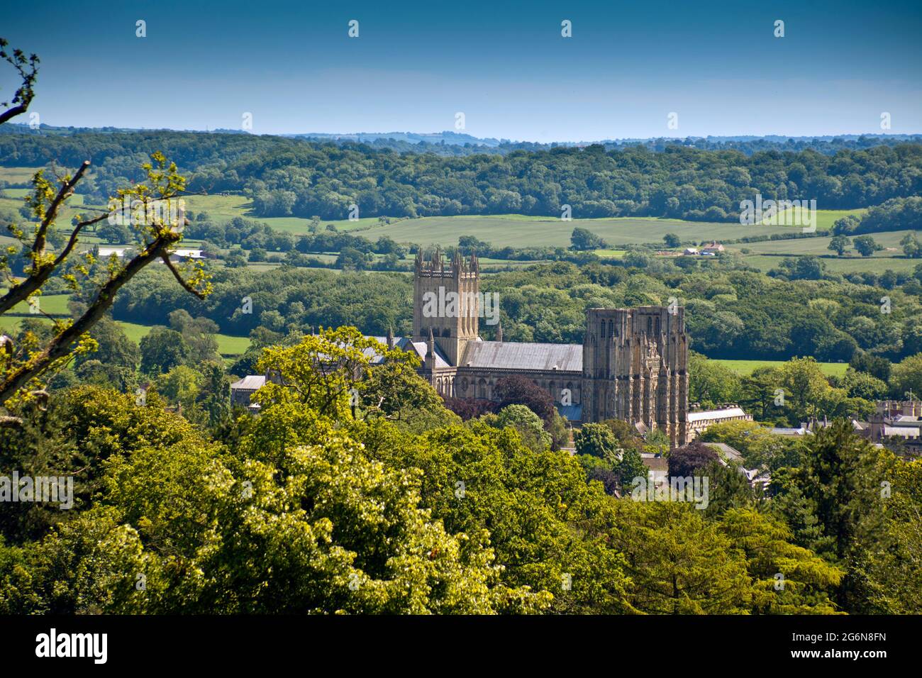 Blick auf die historische Kathedrale von Wells von den Milton Lodge Gardens, bei Wells, Somerset, England, Großbritannien Stockfoto