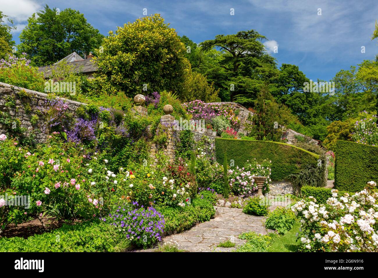 Eine farbenfrohe Grenze in Milton Lodge Gardens, bei Wells, Somerset, England Stockfoto