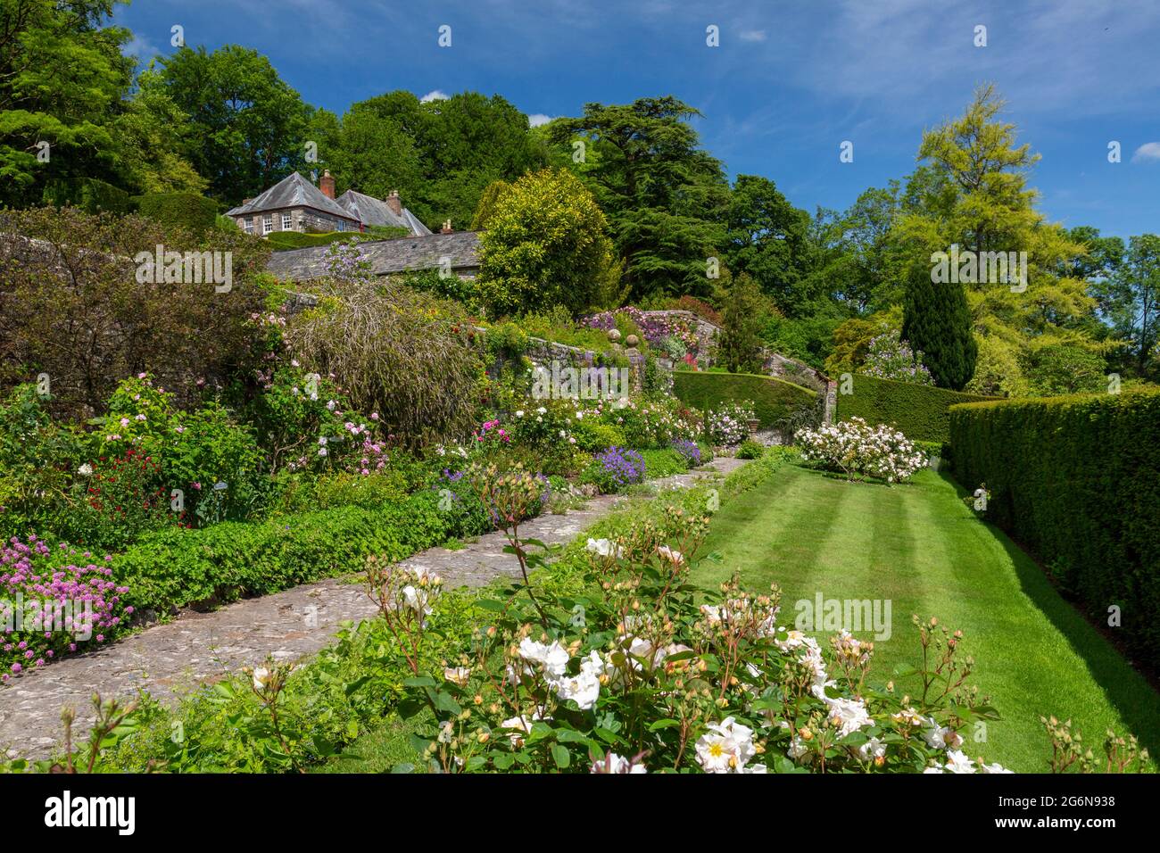 Eine farbenfrohe Grenze in Milton Lodge Gardens, bei Wells, Somerset, England Stockfoto