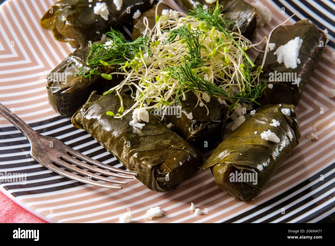 Armenische Yaprak dolma, gefüllte Traubenblätter Vorspeise Stockfoto