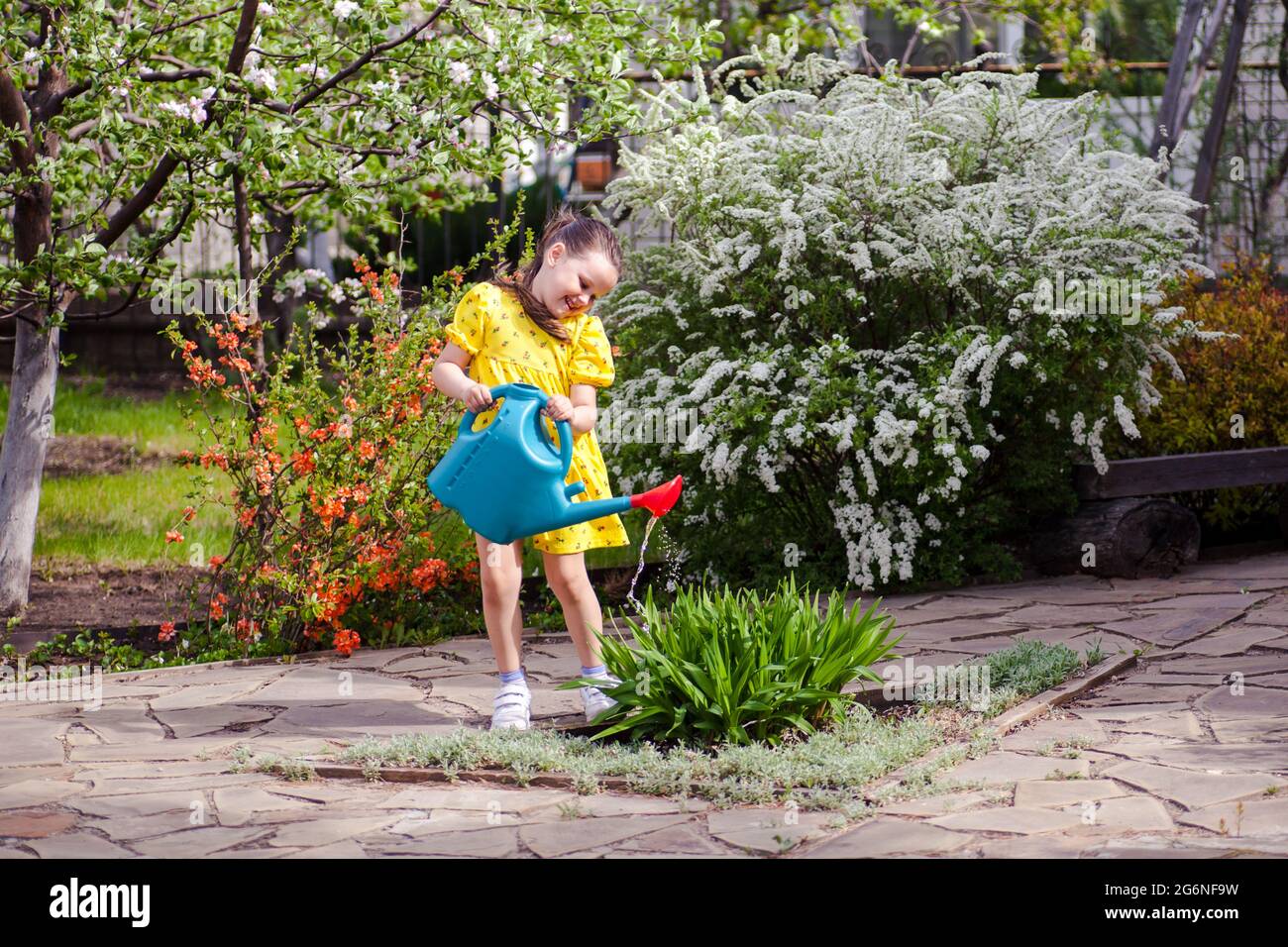 Ein glückliches, lachendes Mädchen in einem gelben Kleid gießt Blumen aus einer blauen Gießkanne, ein junger Gärtner arbeitet im Garten mit Blüte Stockfoto
