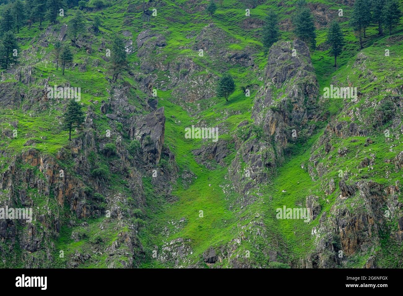 Himalaya-Berglandschaft im Parvati-Tal, Himachal Pradesh, Indien Stockfoto