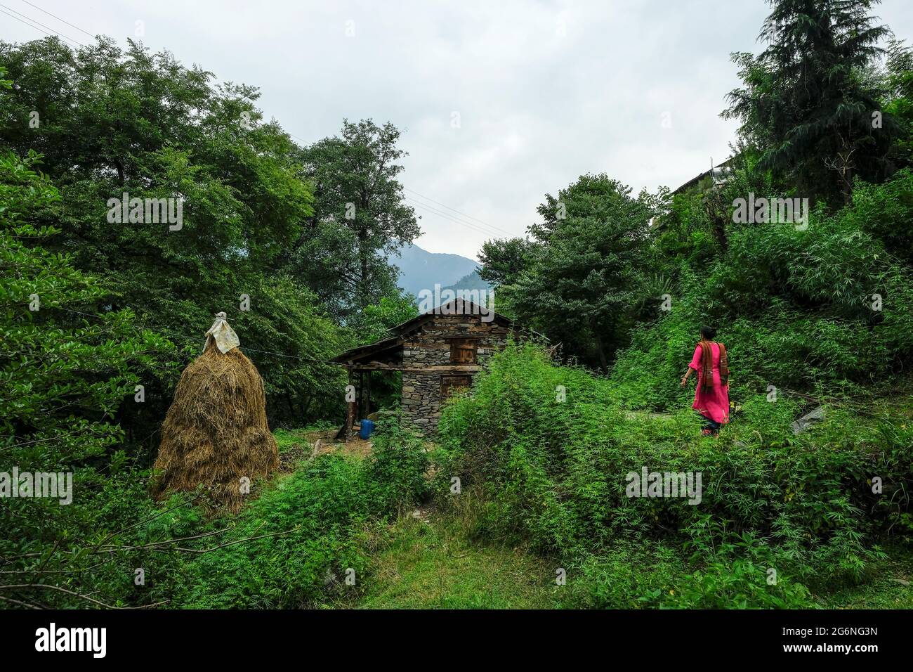 Naggar, Indien - 2021. Juni: Ansichten des Dorfes Naggar im Bezirk Kullu am 24. Juni 2021 in Naggar, Himachal Pradesh, Indien. Stockfoto