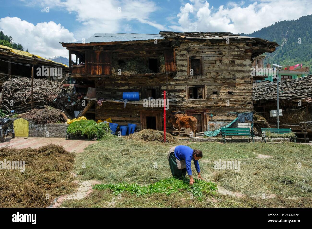 Manali, Indien - 2021. Juni: Traditionelle Häuser im Viertel Old Manali am 25. Juni 2021 in Manali, Himachal Pradesh, Indien. Stockfoto