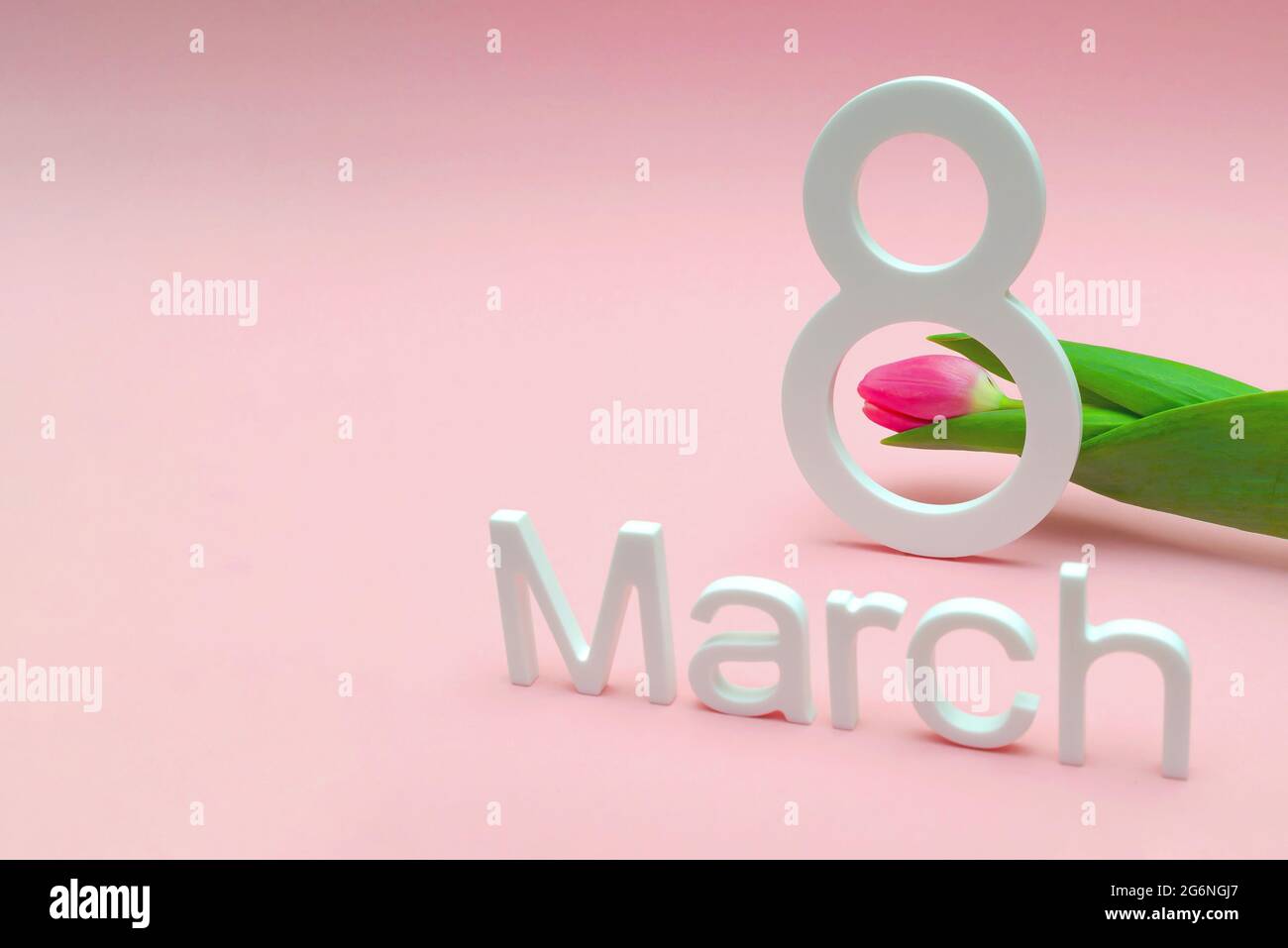 8. März, internationaler Frauentag. Zahl acht vor einem Hintergrund von Tulpen vor einem rosa einheitlichen Hintergrund, Platz für Text. Geeignet für Werbung Stockfoto