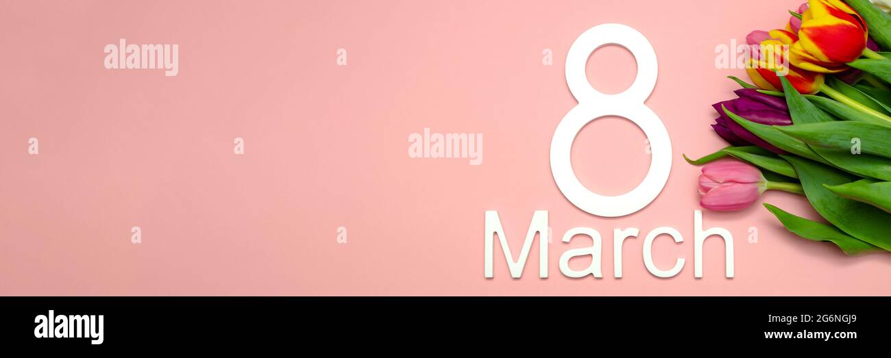 8. März, internationaler Frauentag. Zahl acht vor einem Hintergrund von Tulpen vor einem rosa einheitlichen Hintergrund, Platz für Text. Geeignet für Werbung Stockfoto