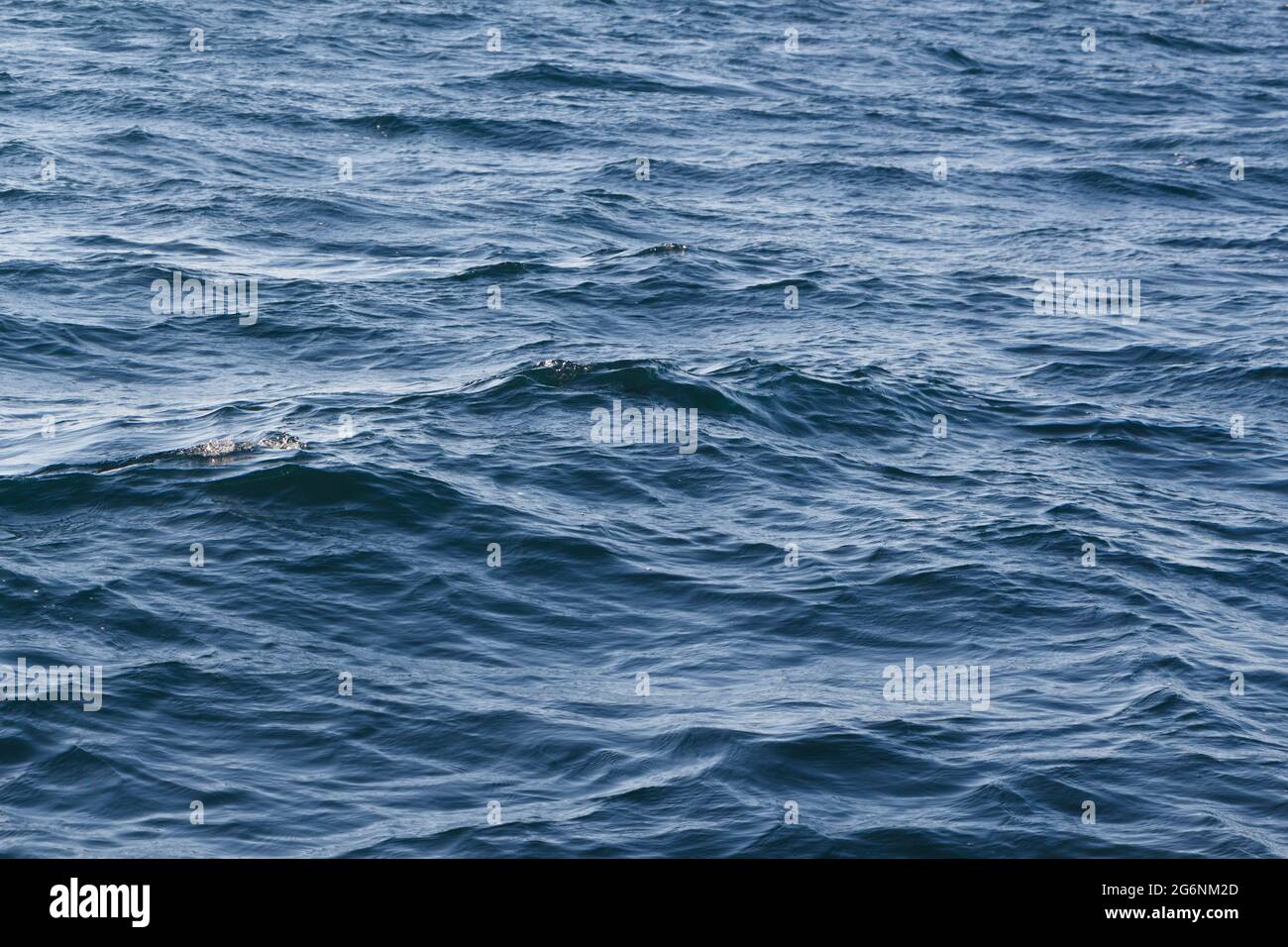 Wellen auf dem Atlantik in der Bretagne Stockfoto