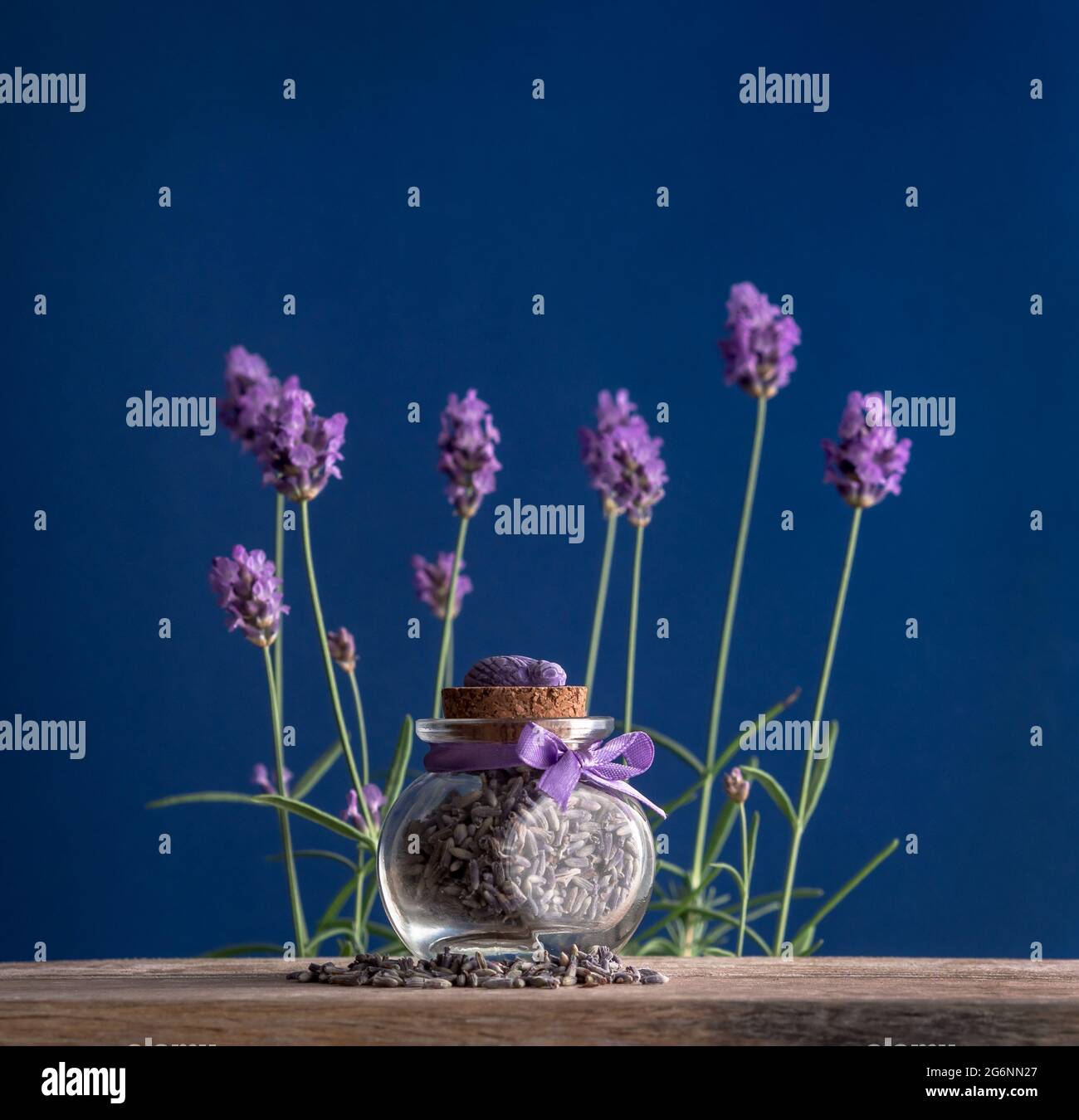 Getrocknete Lavendelknospen in einem kleinen Glas auf einem Holztisch auf blauem Hintergrund mit frischen Blüten von lavanda in weichem Fokus. Aromatische Kräuter-Souvenirs in PR Stockfoto