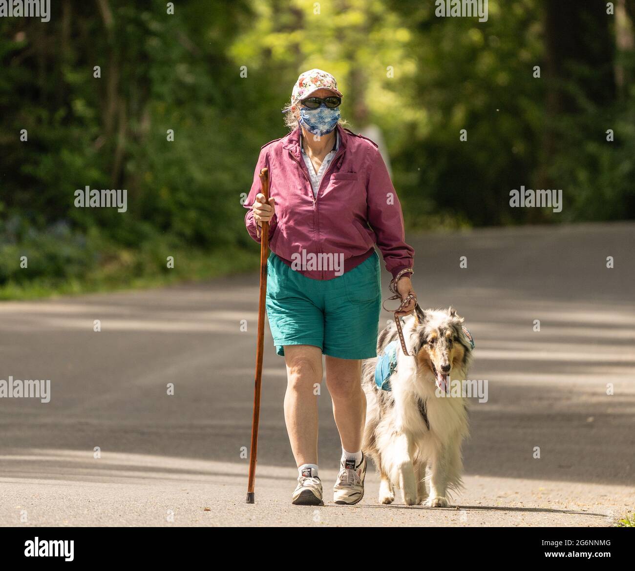 Berks County, Pennsylvania - 17. Mai 2021: Ältere Frauen in Maskenbezügen gehen im Park zu einem Diensthund. Stockfoto