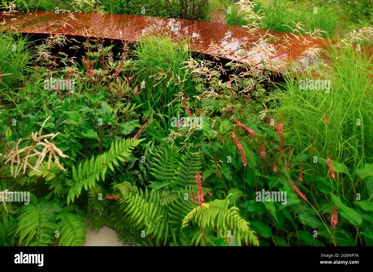 The Cancer Research UK ist The Legacy Garden beim Hampton Court Palace Garden Festival 2021 Stockfoto